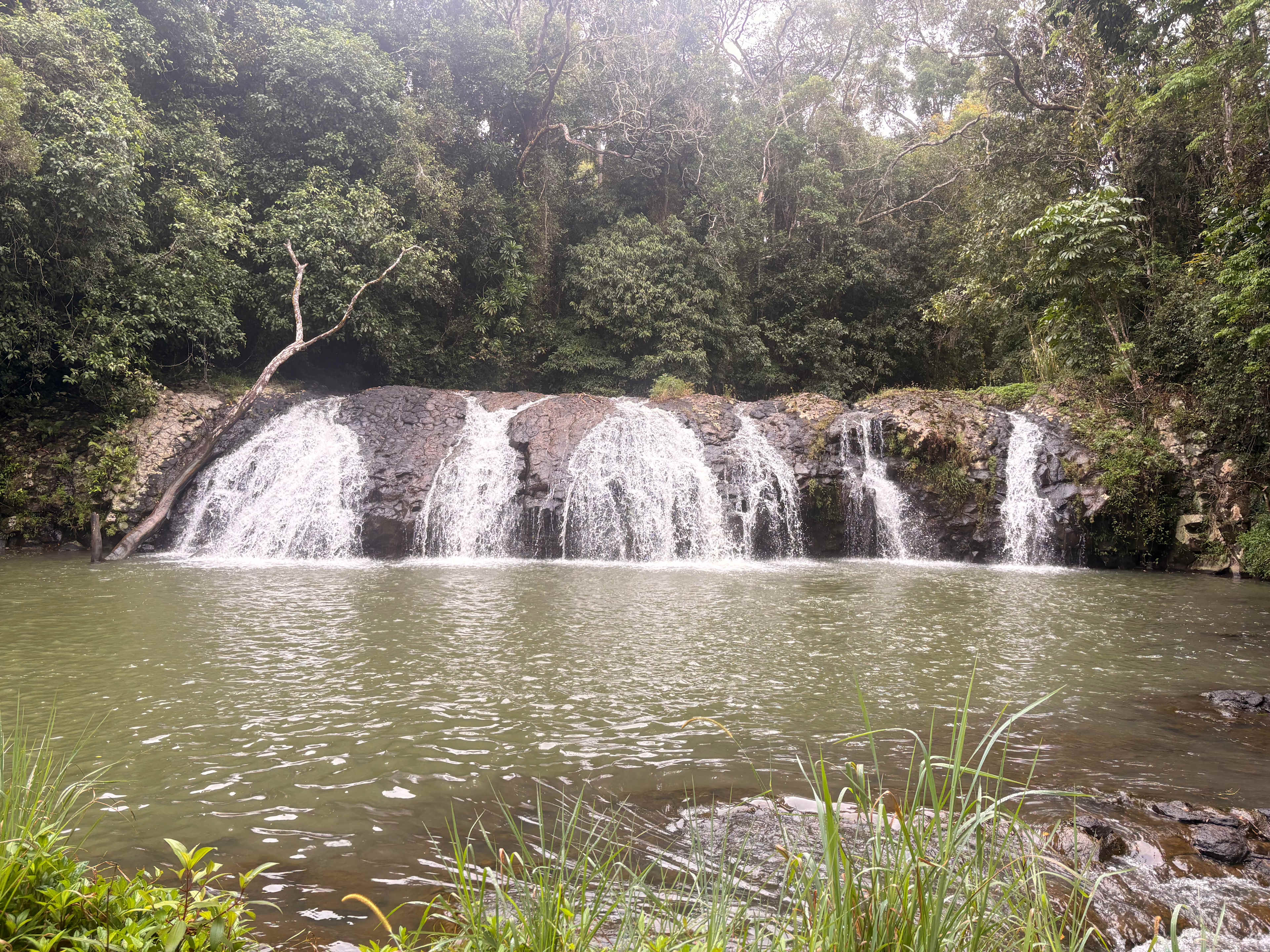 Malanda Stream Private Camping.