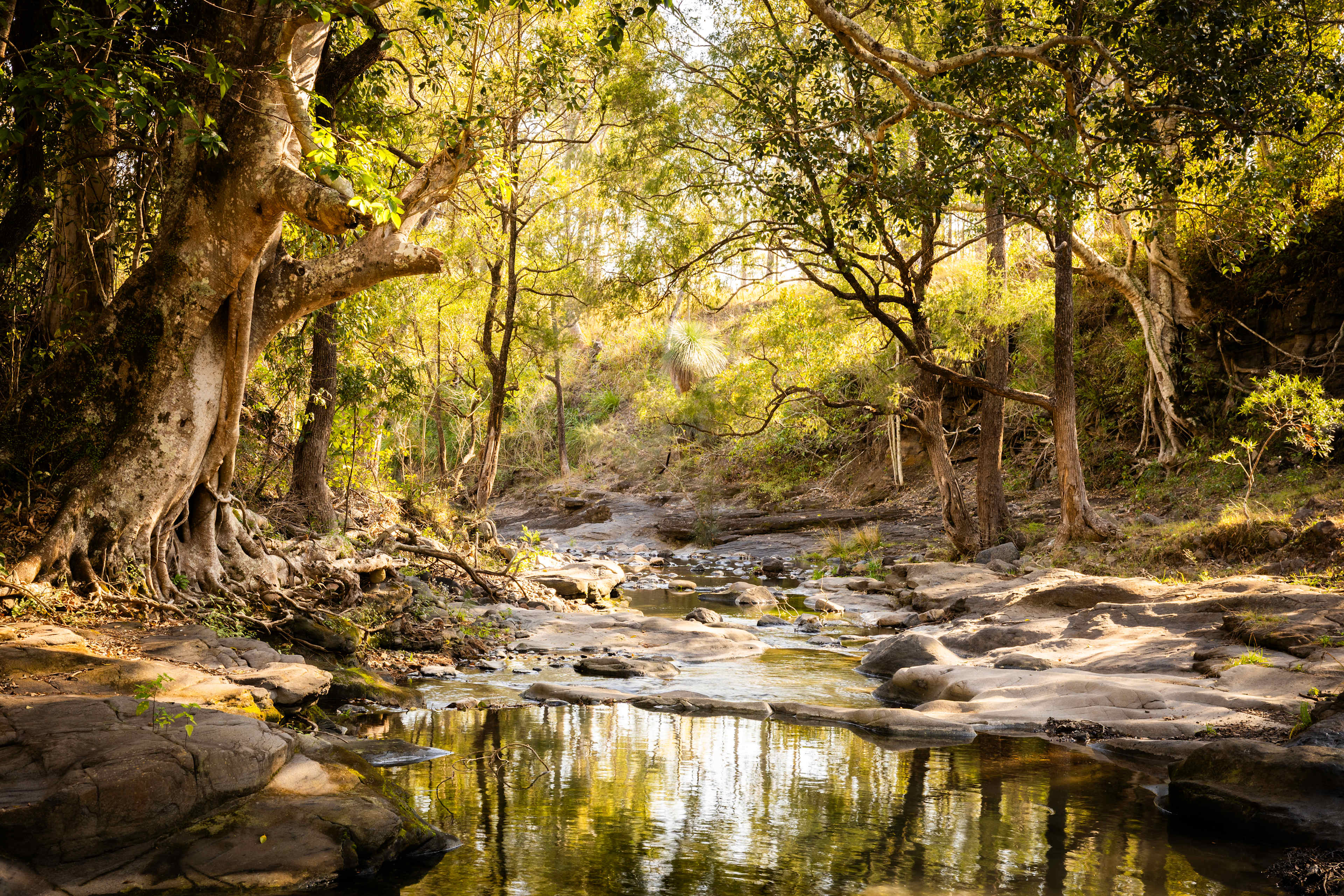 Creek (dry season) in the 4x4 access section