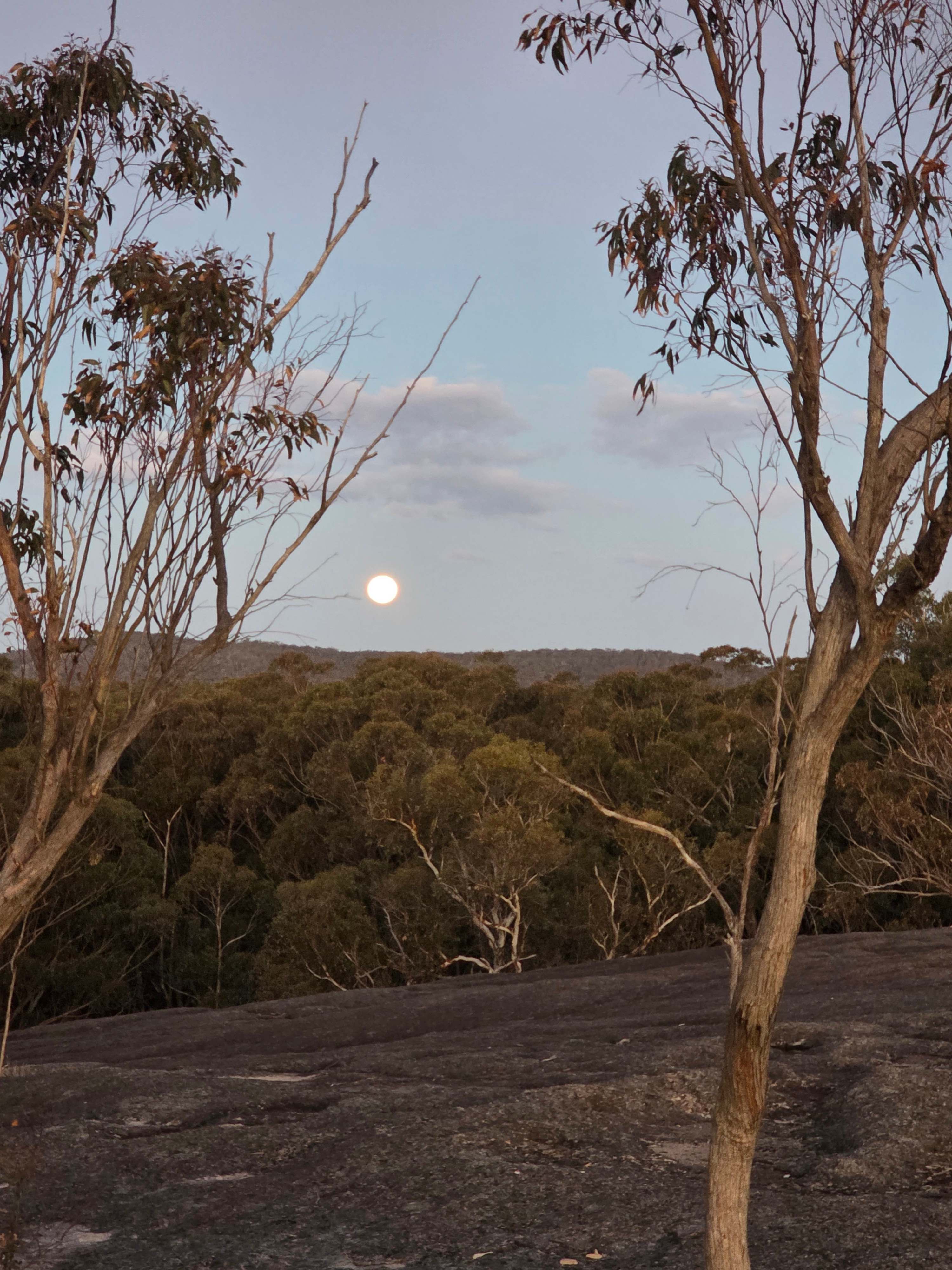 Farrup Bush Camp