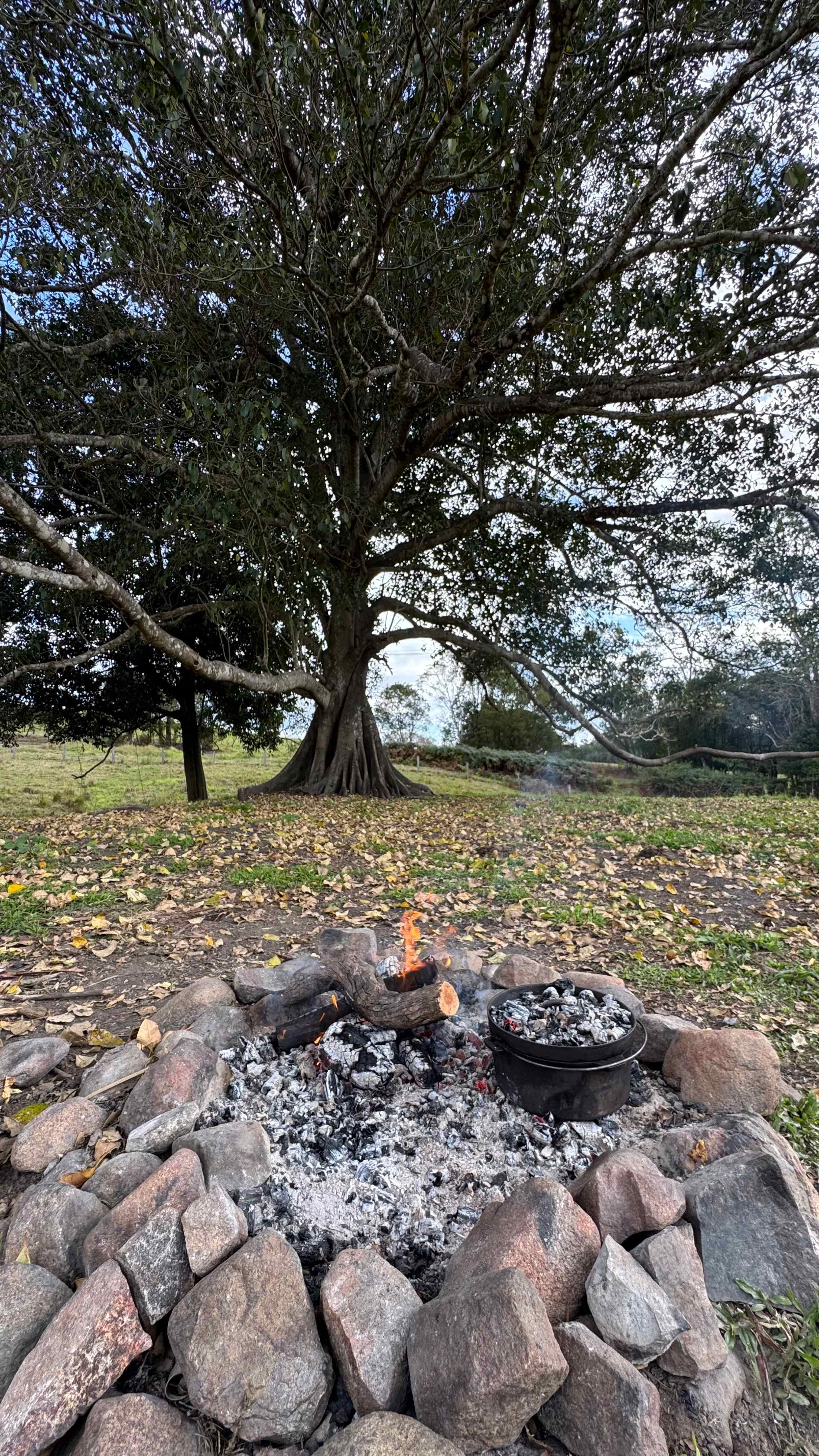 The Hills - Stony Creek Camp