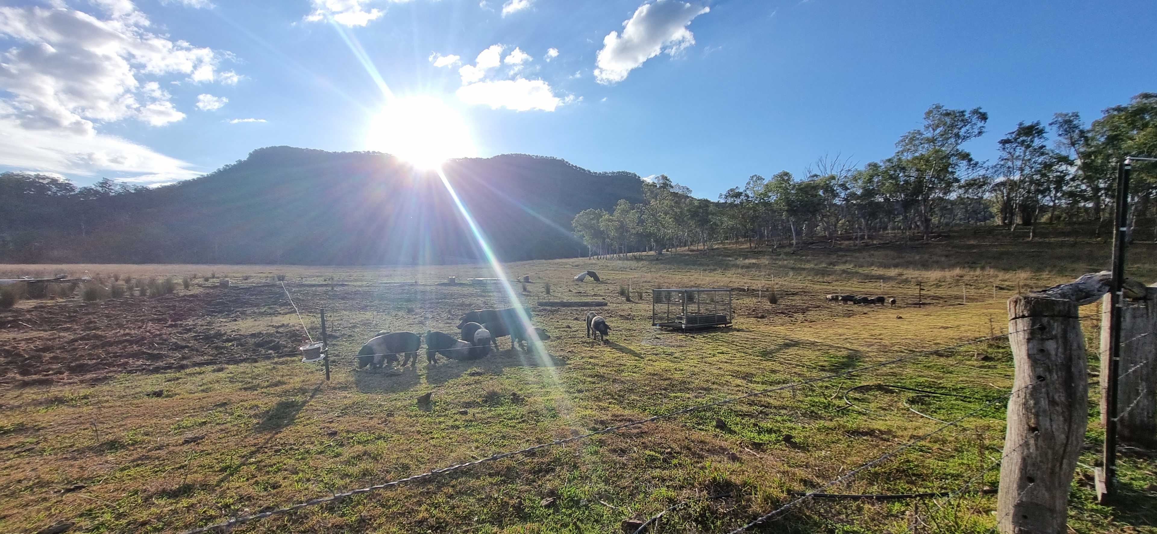 Gleneden Farm - Heritage Produce