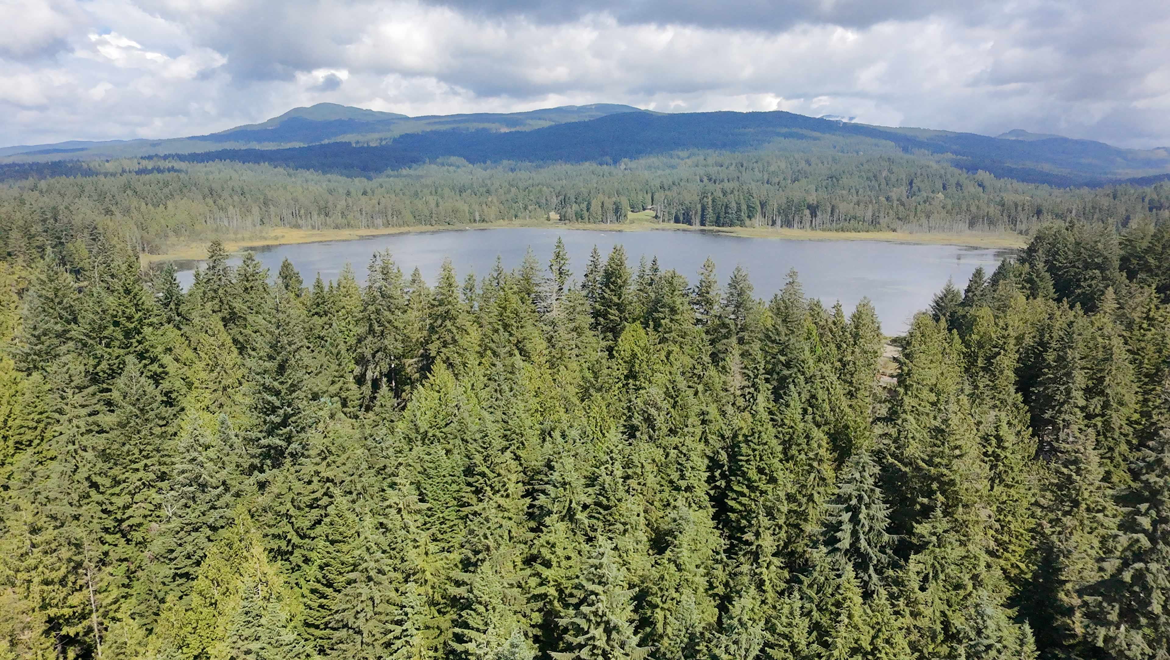 Whonnock Willow Farm and Campground