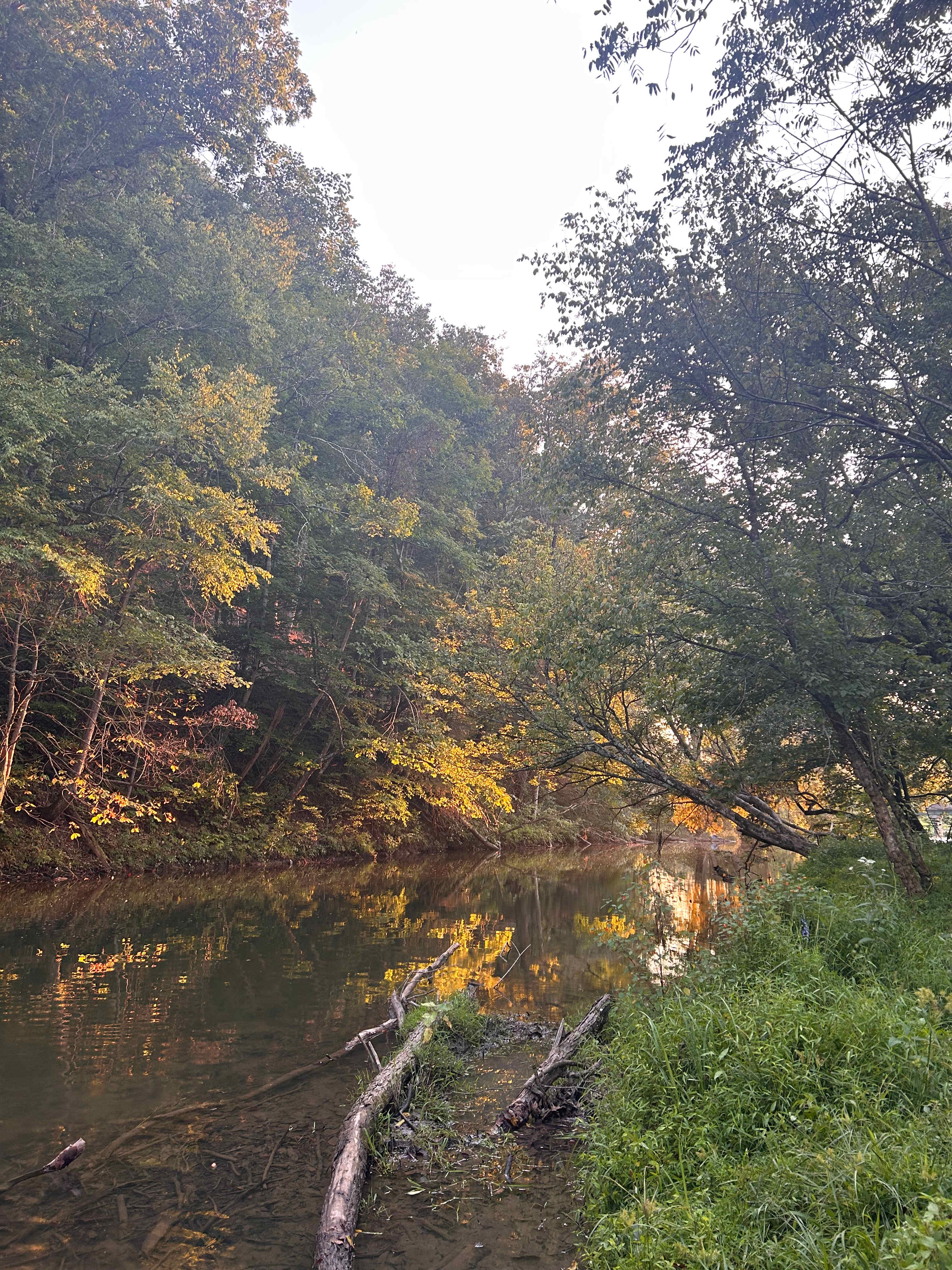 Beech Grove River Spot