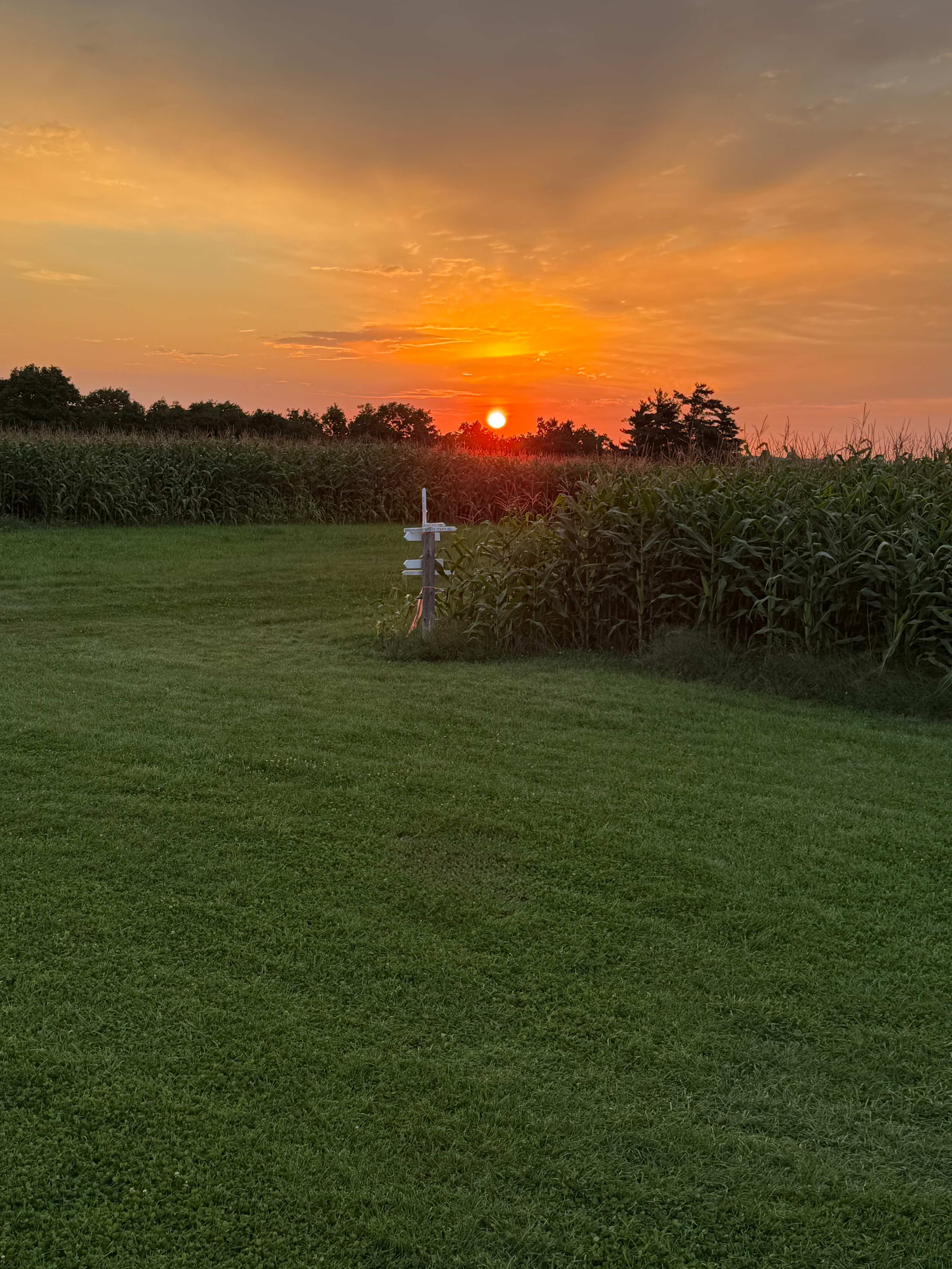 Harveys Hill