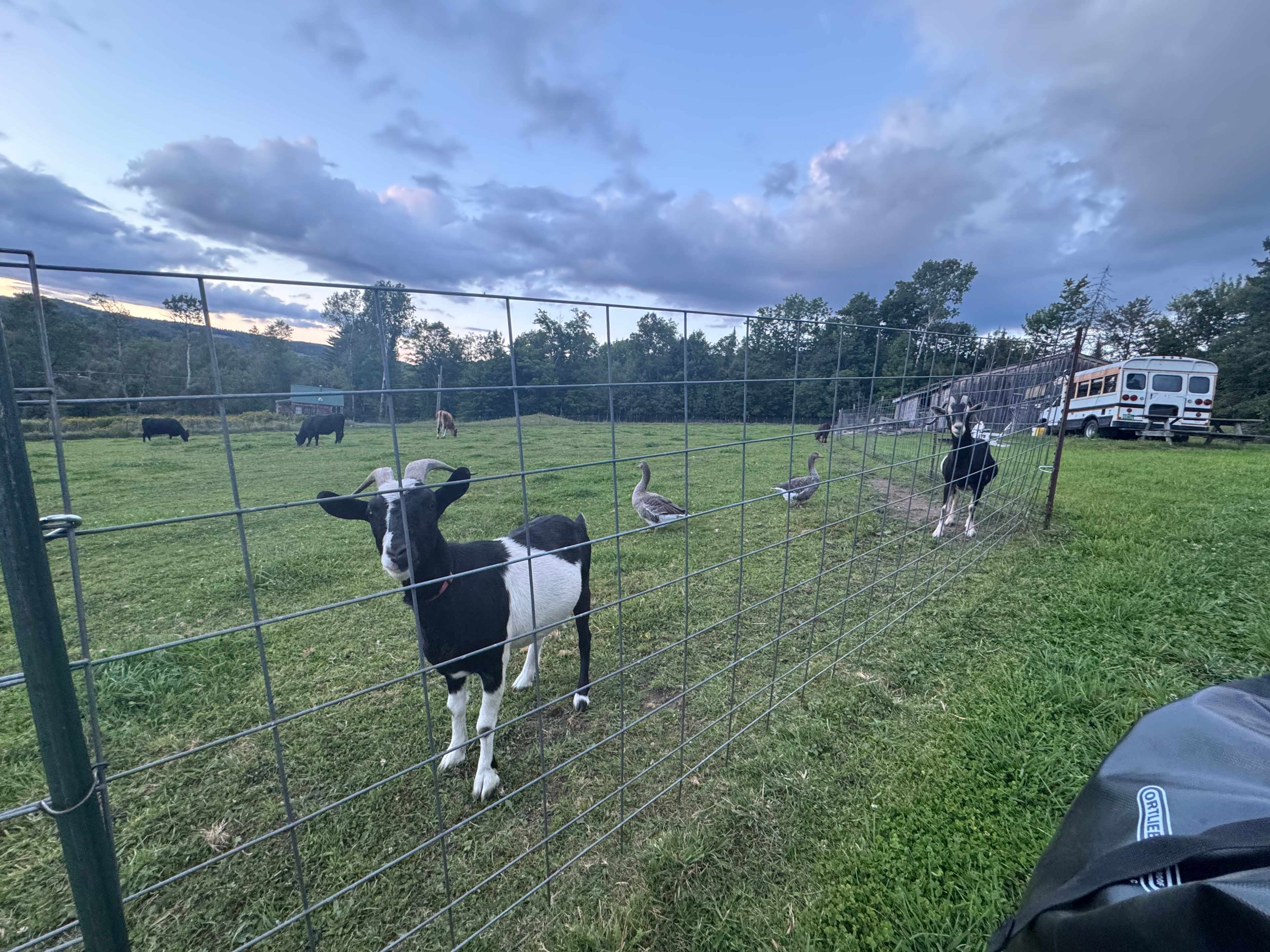 Broadfork Farmstead