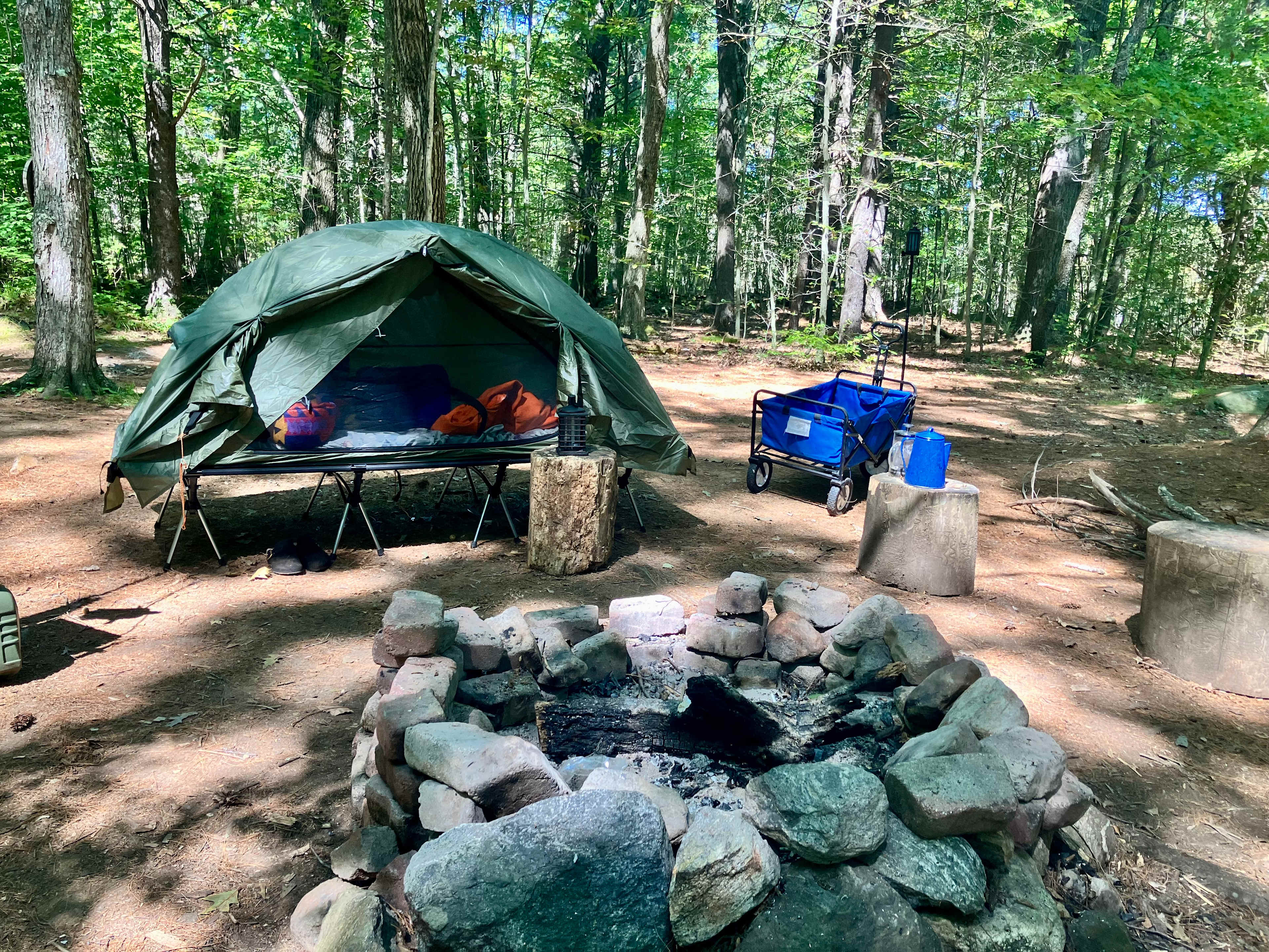 Perfect spot!