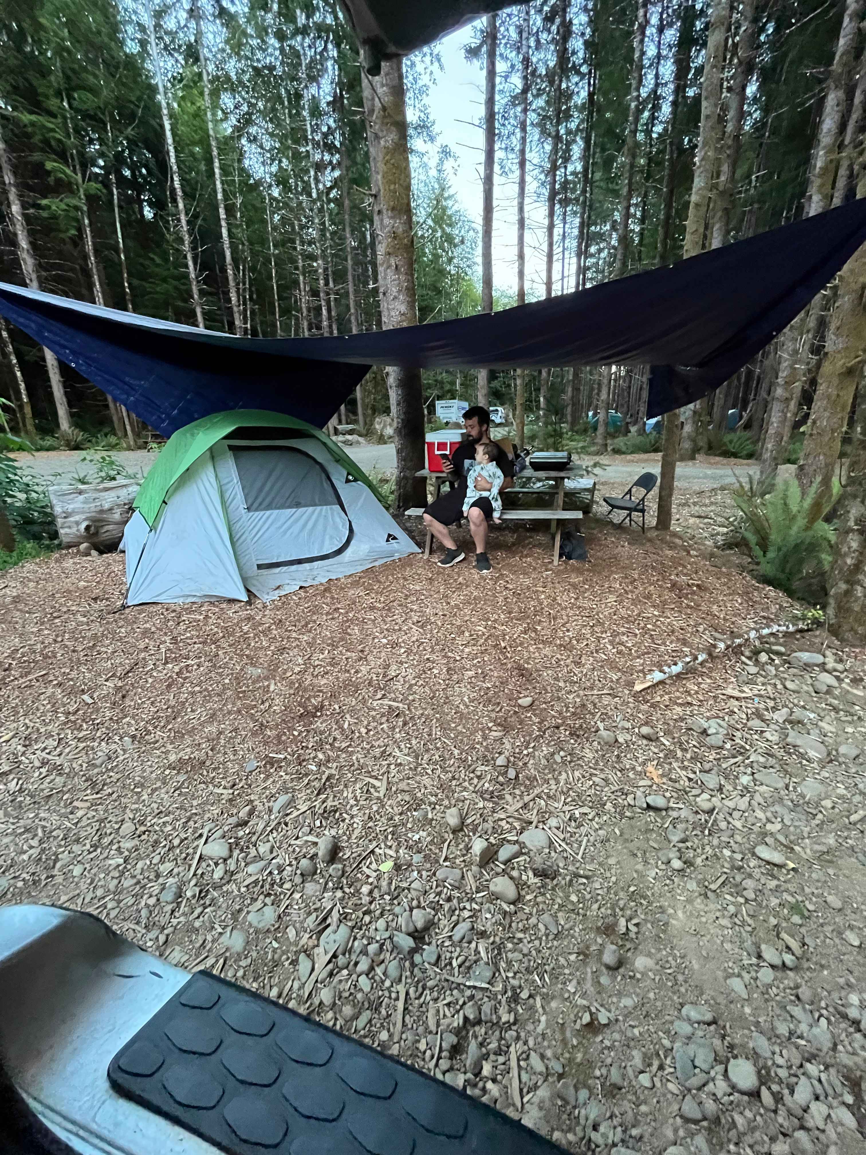 Picture of the site