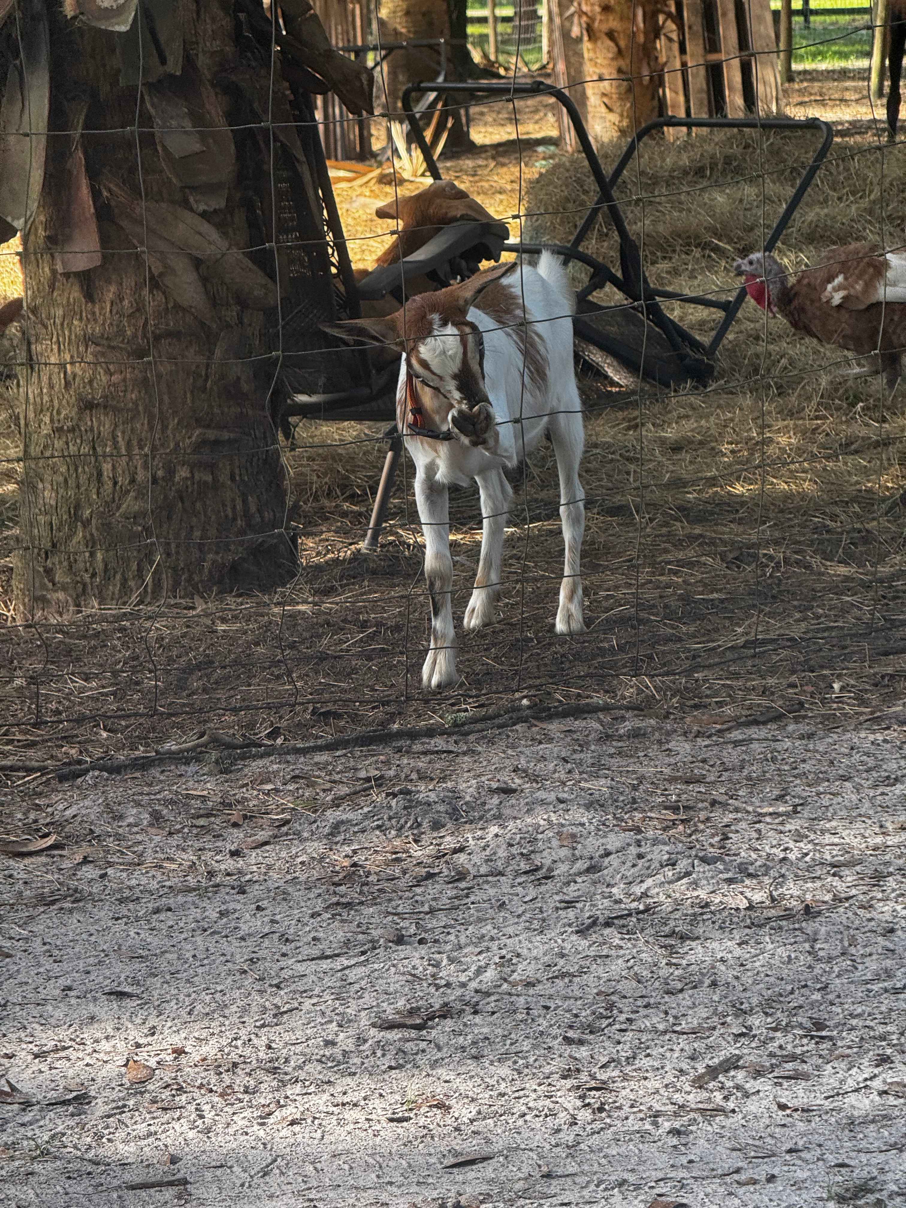 True Trail Farm