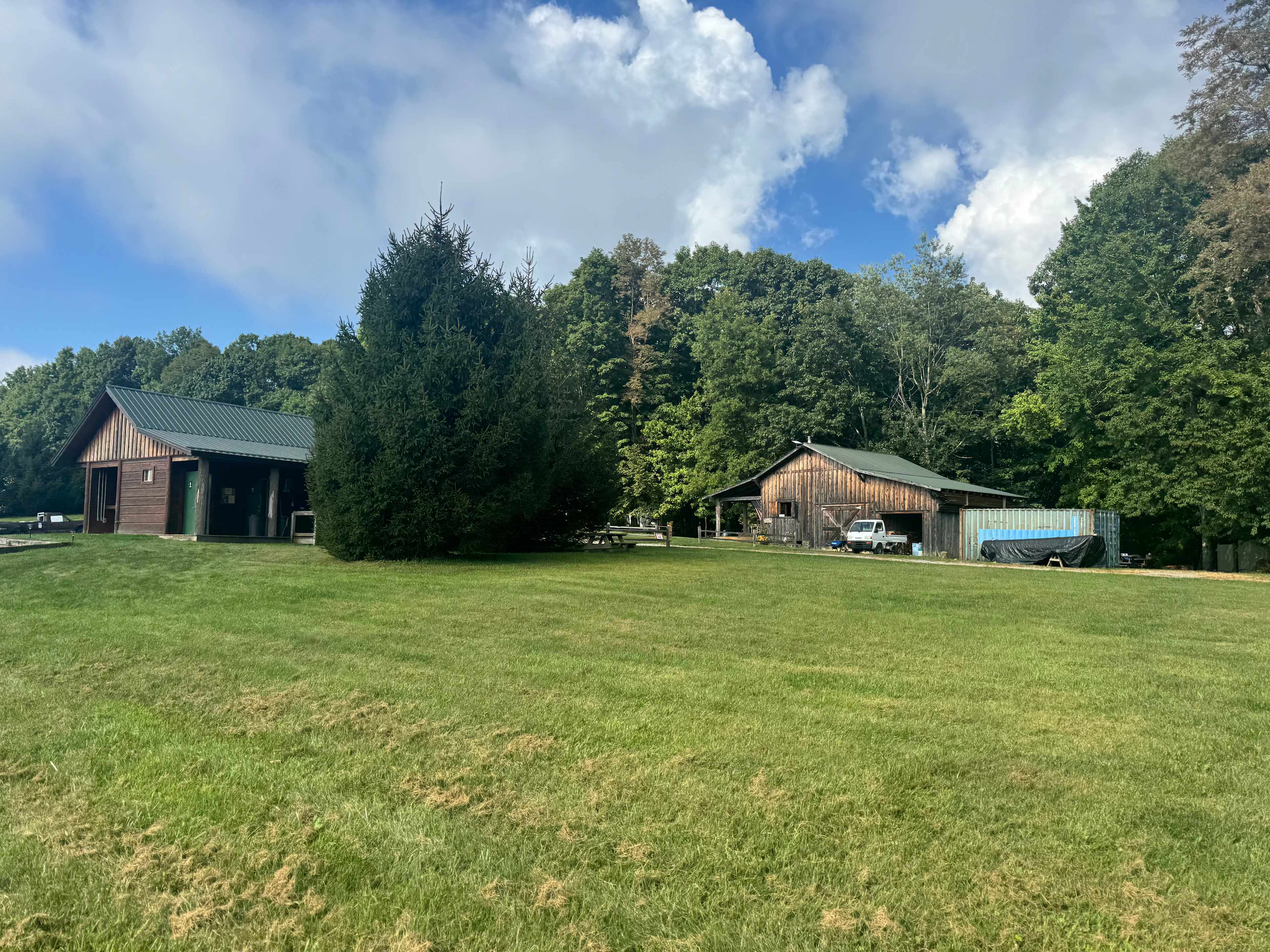 Picture of the site