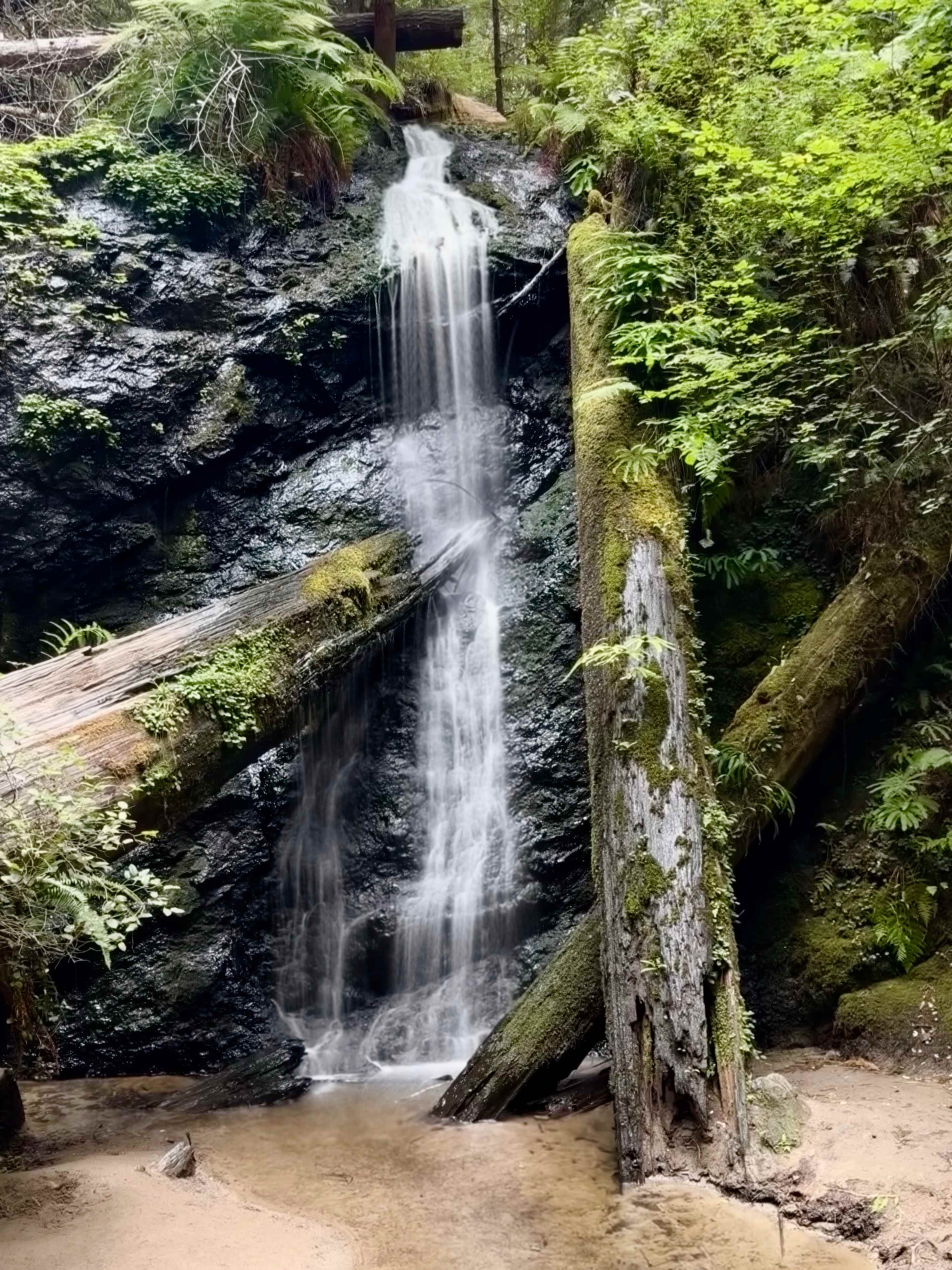Waterfall Camp