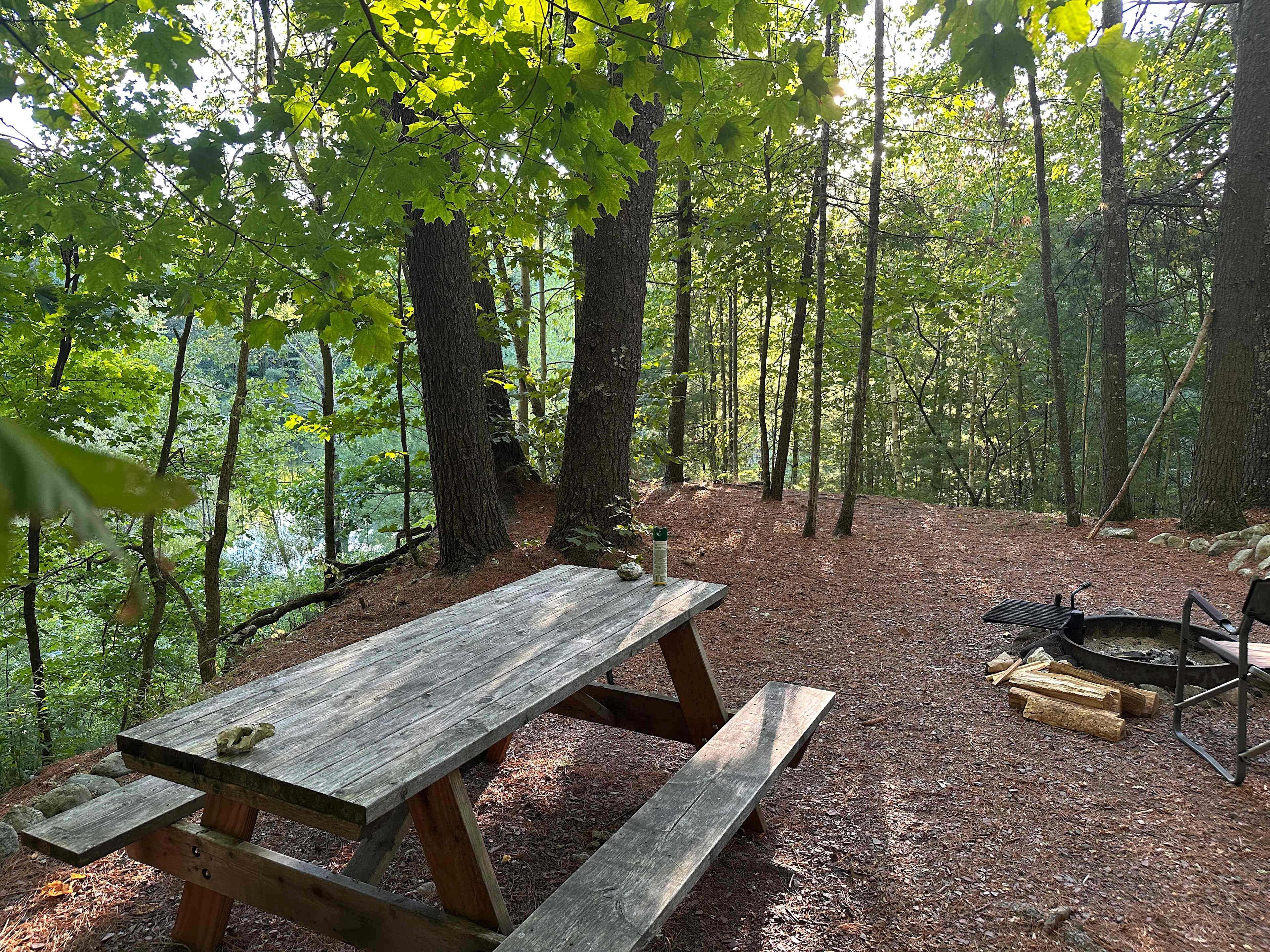 Picnic table and fire pit on site