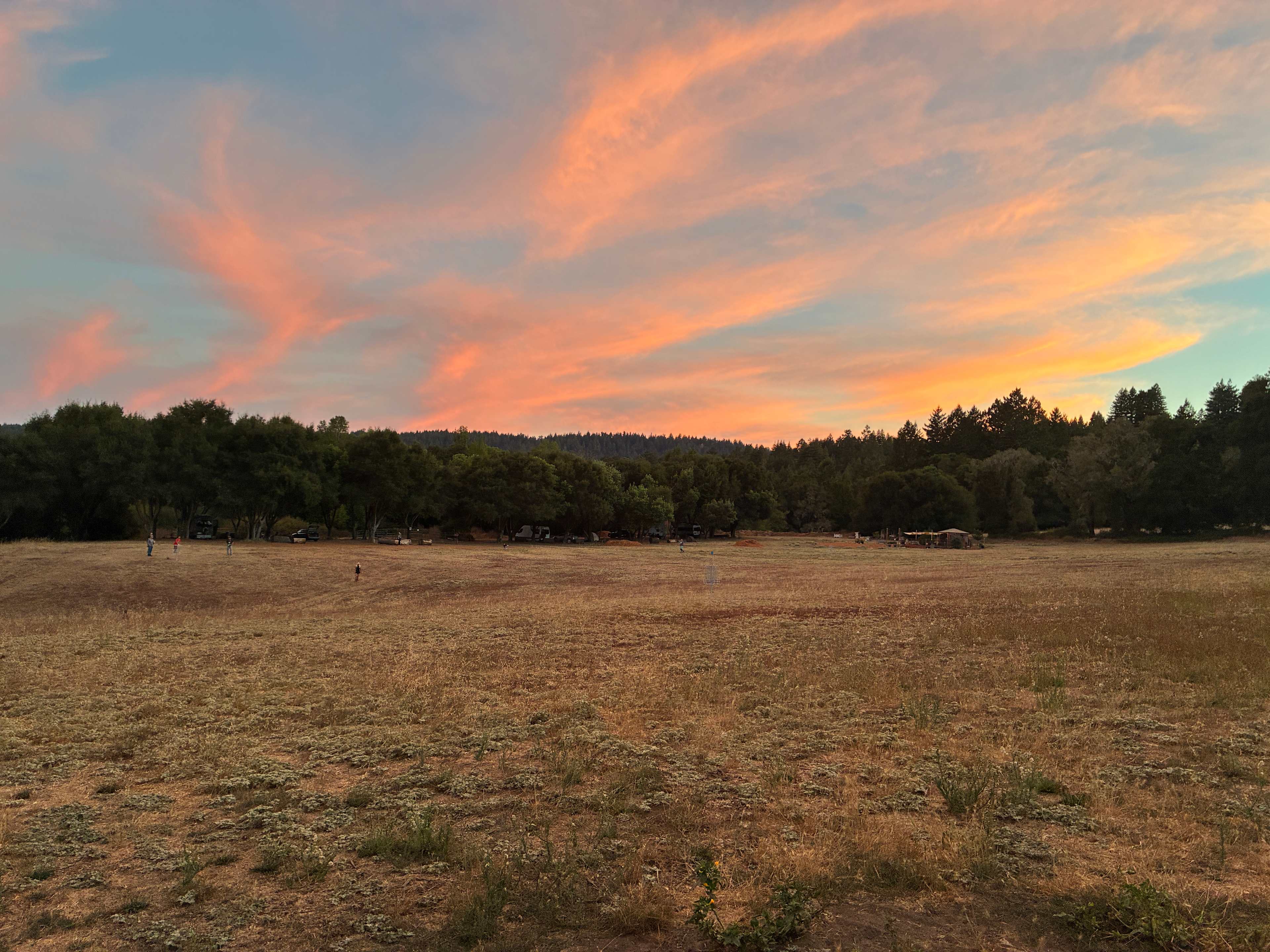 Felton Open Space Camp Sites
