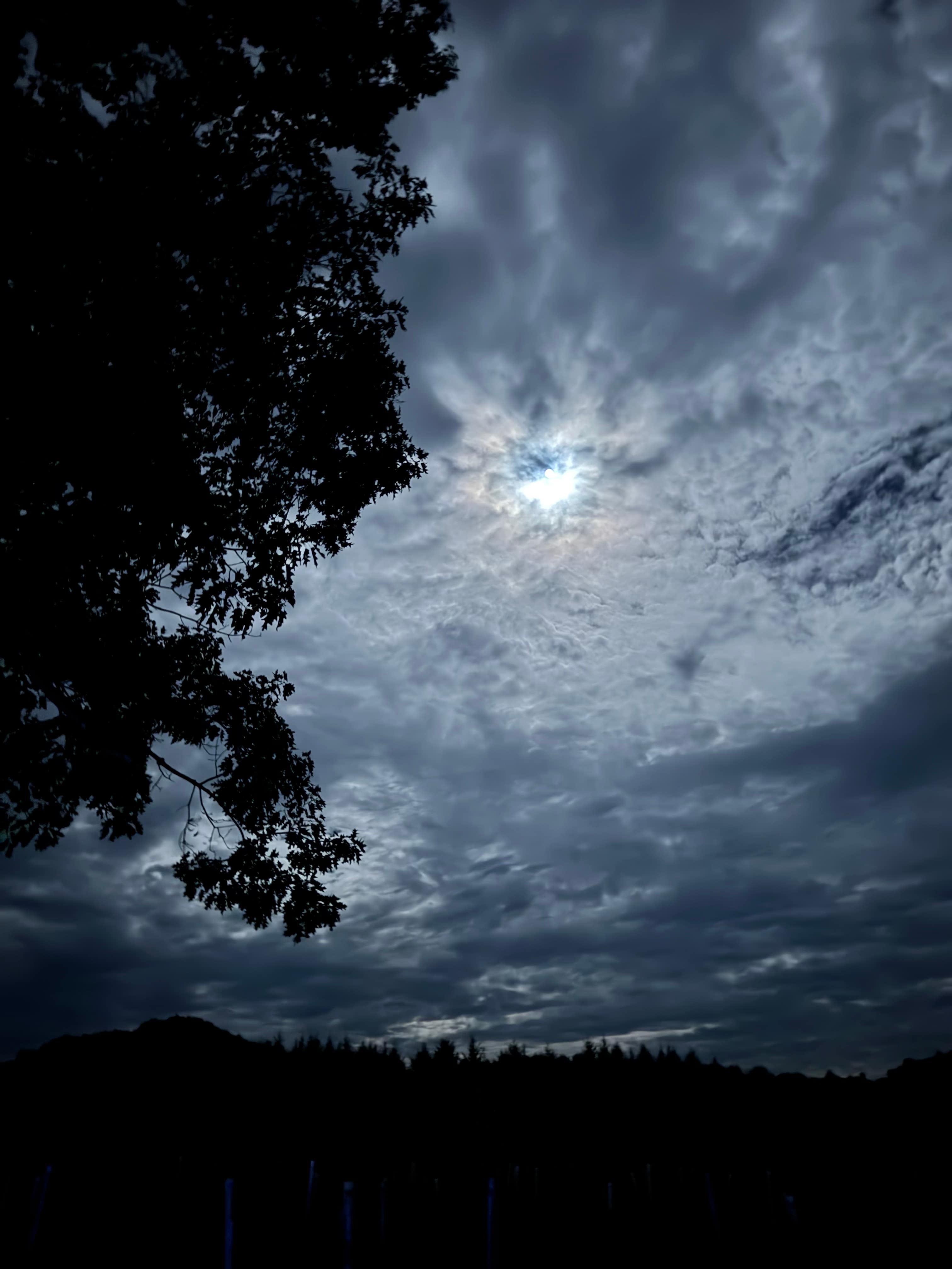 The view of the night sky is gorgeous!