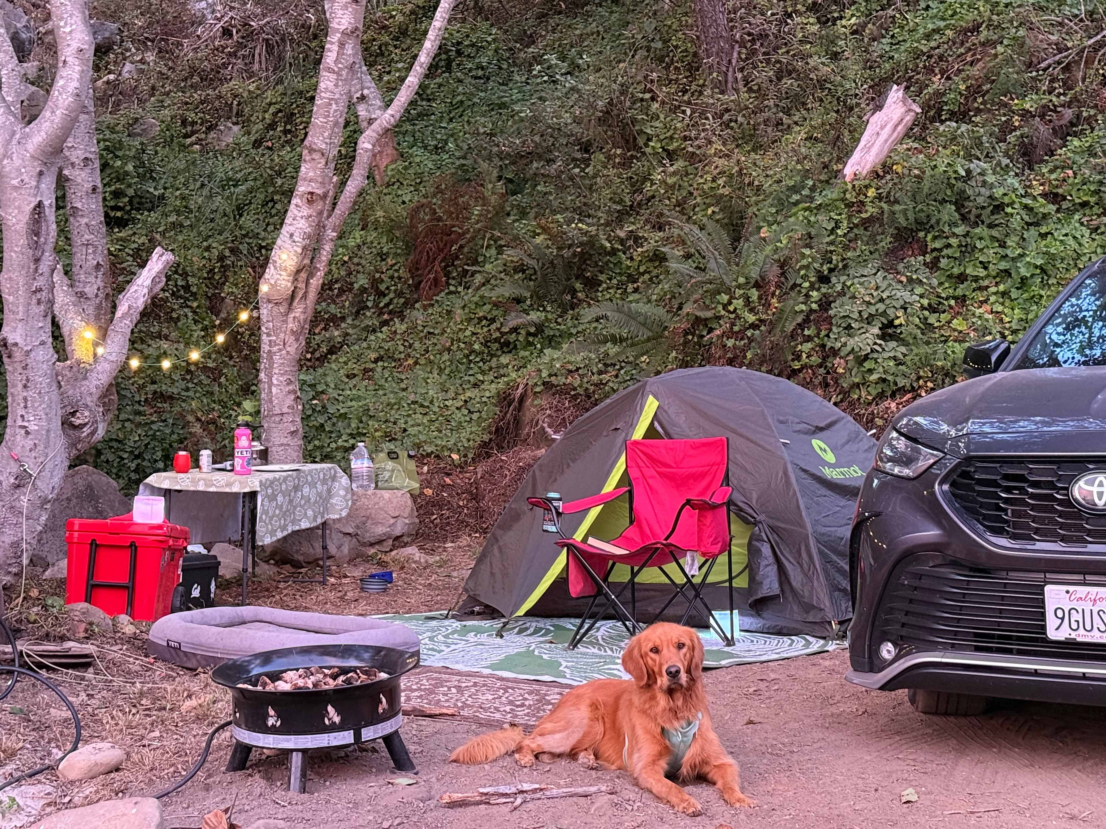 Timber Cove Campground