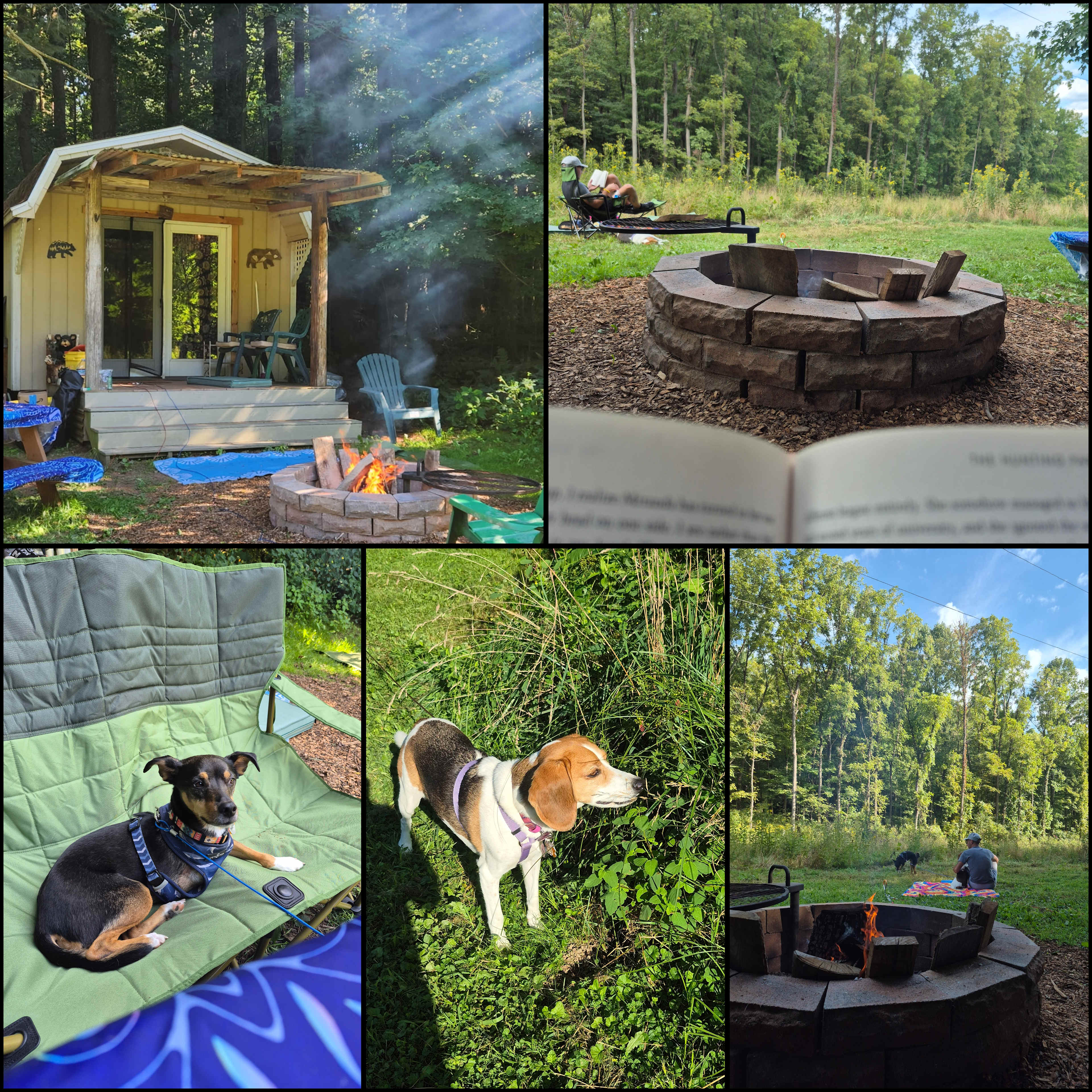 Shady Owl Ranch