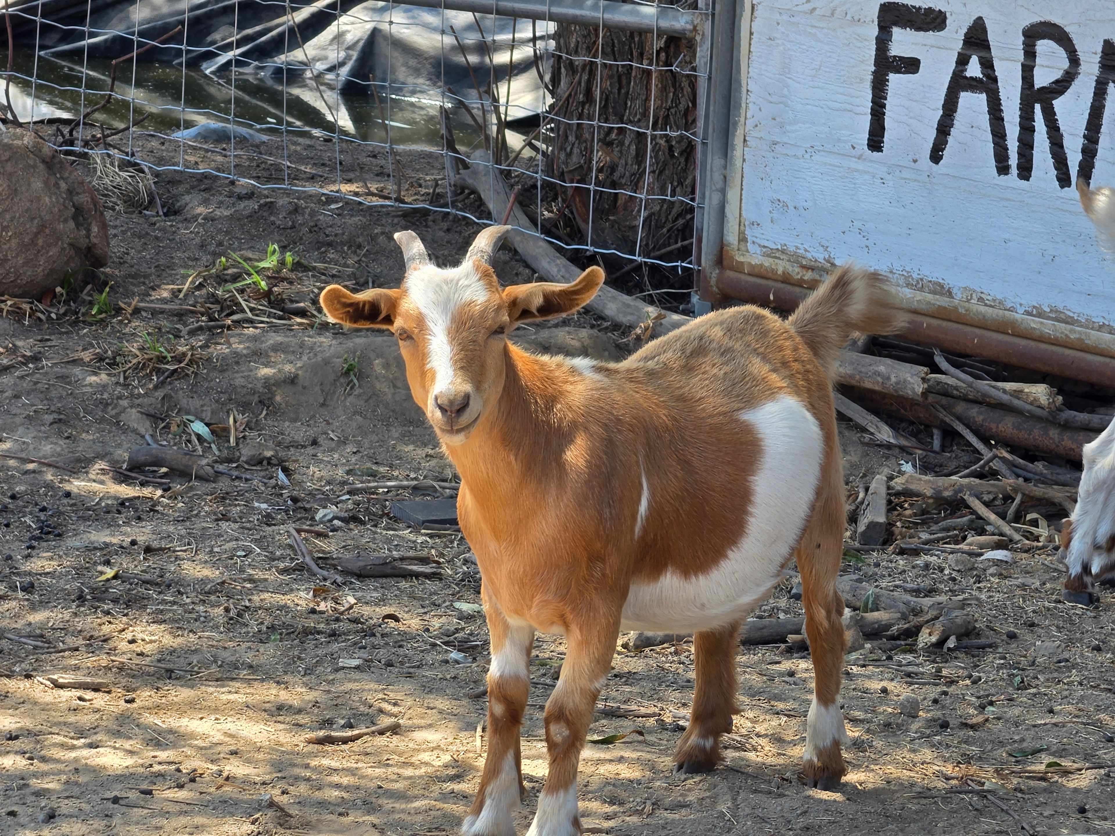 Splitrock Farm and Retreat