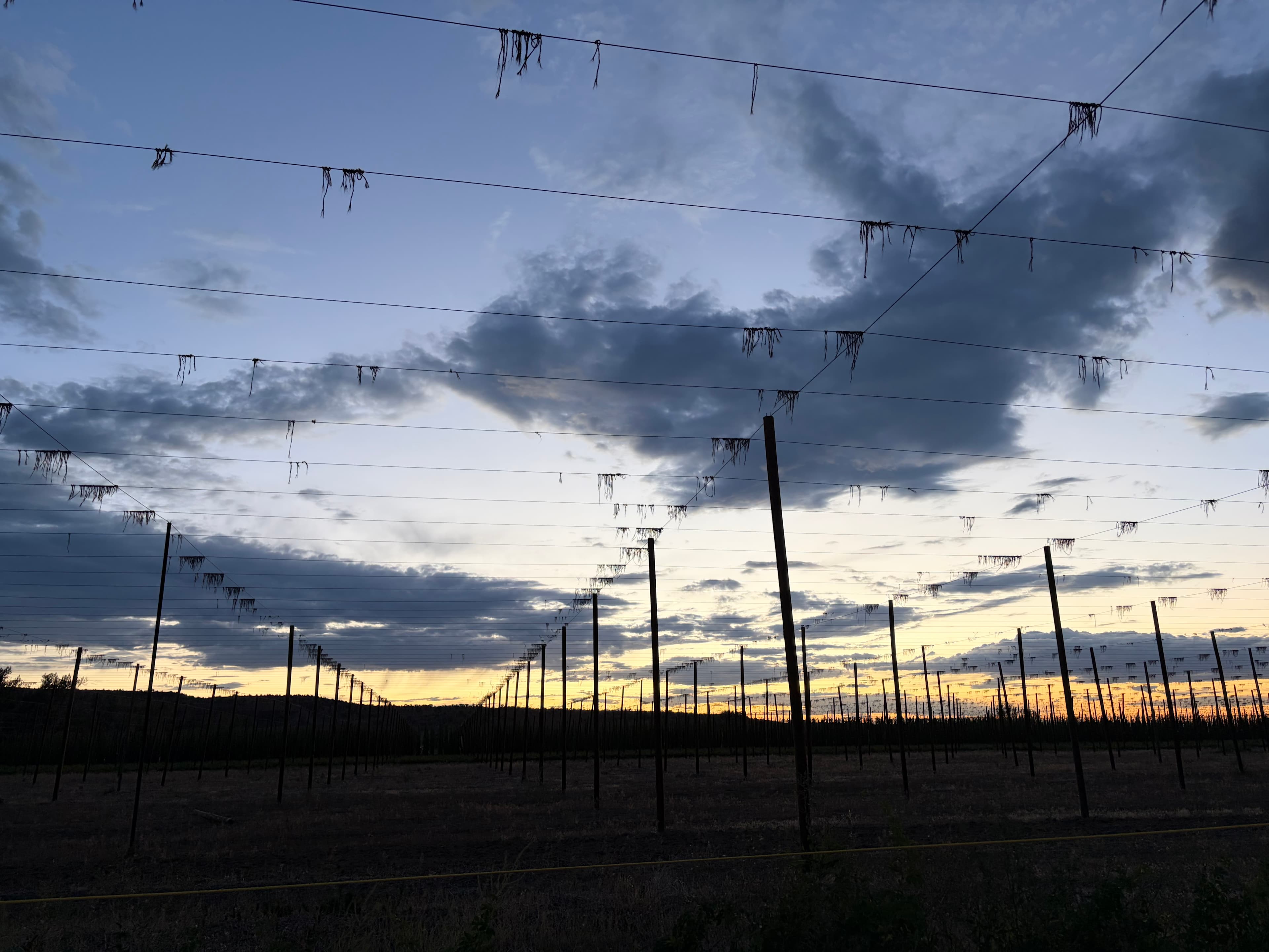 The Hop Yard Hideaway