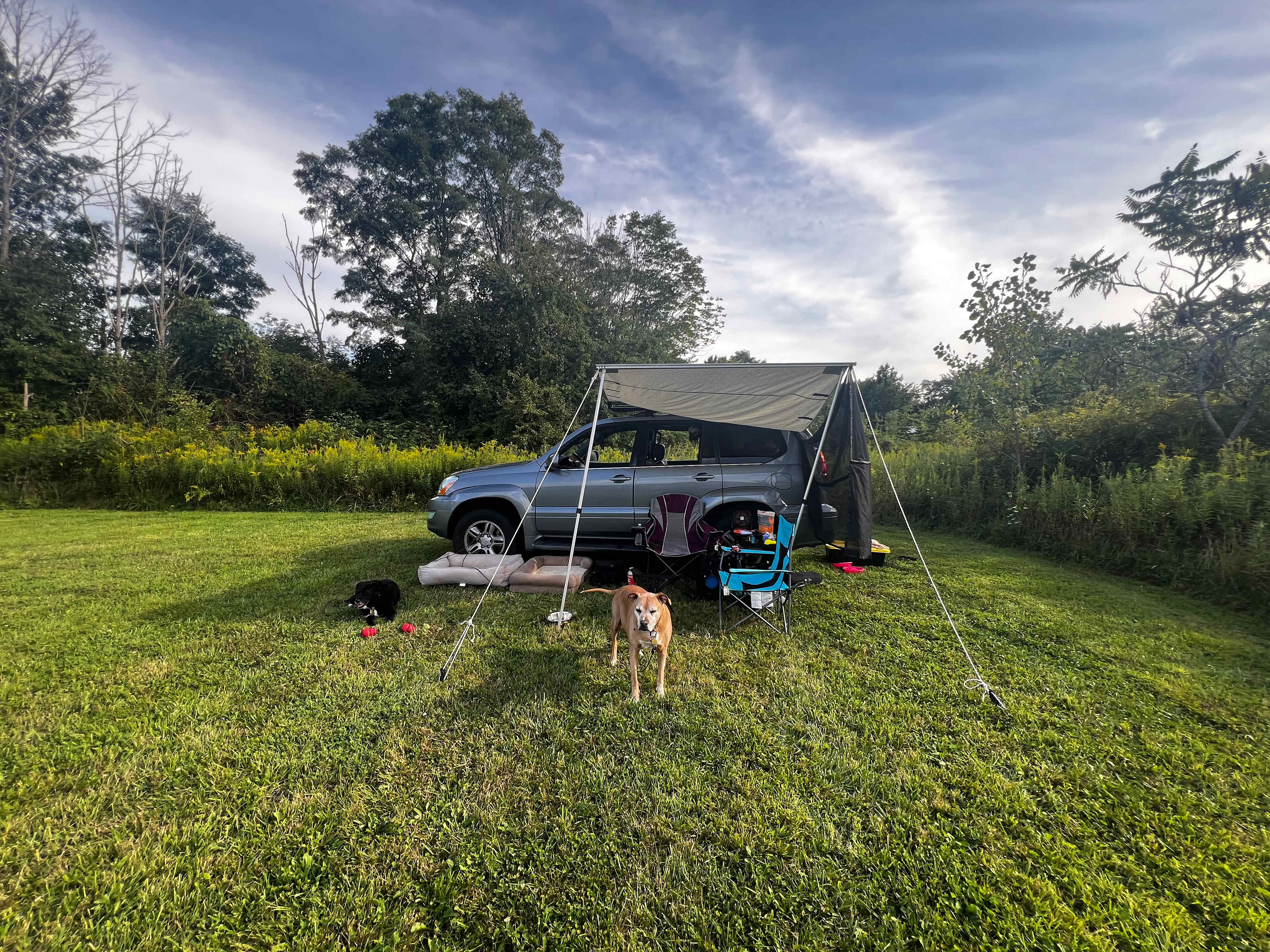 Camping in Wine Country