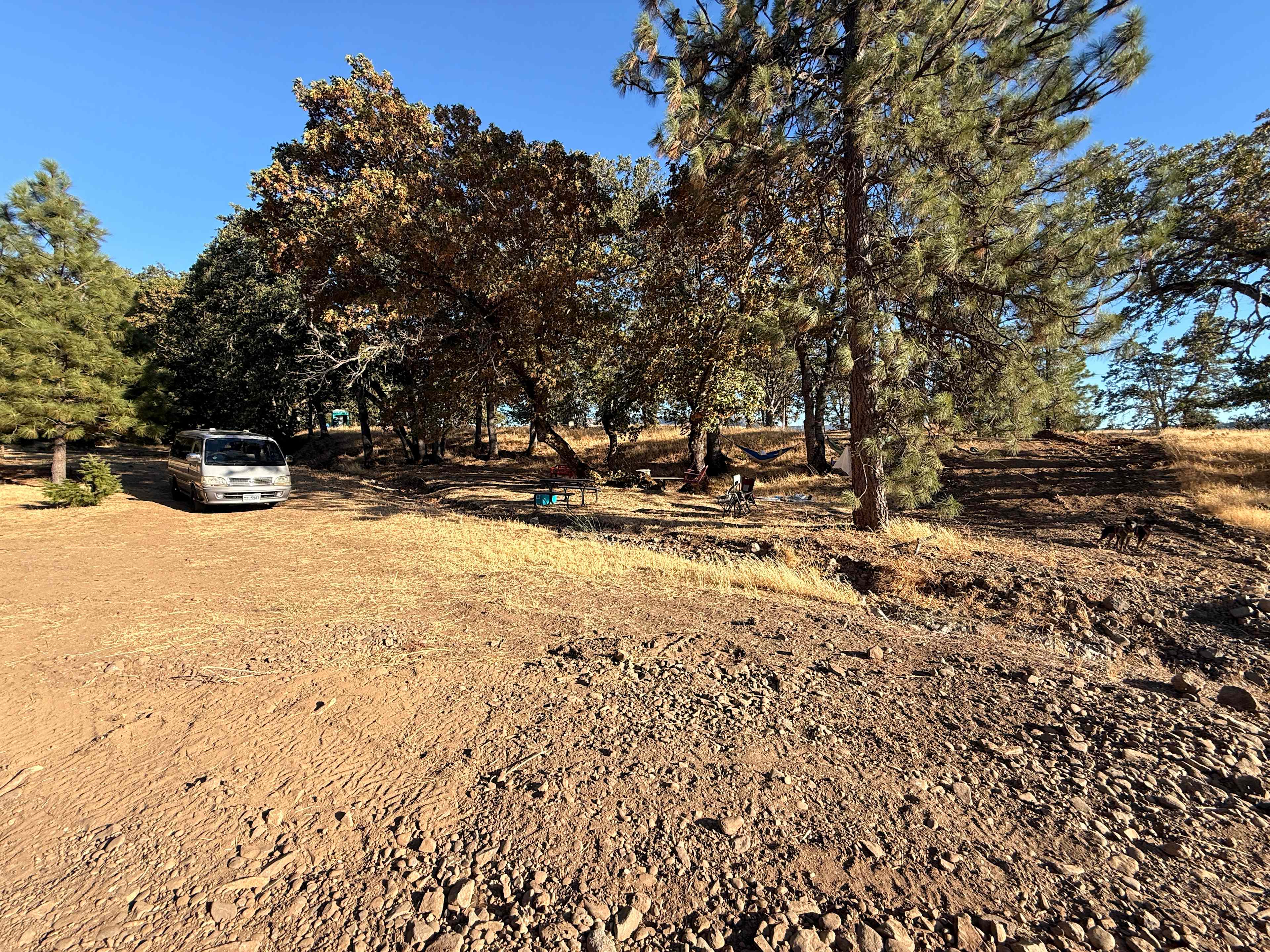 Camp site