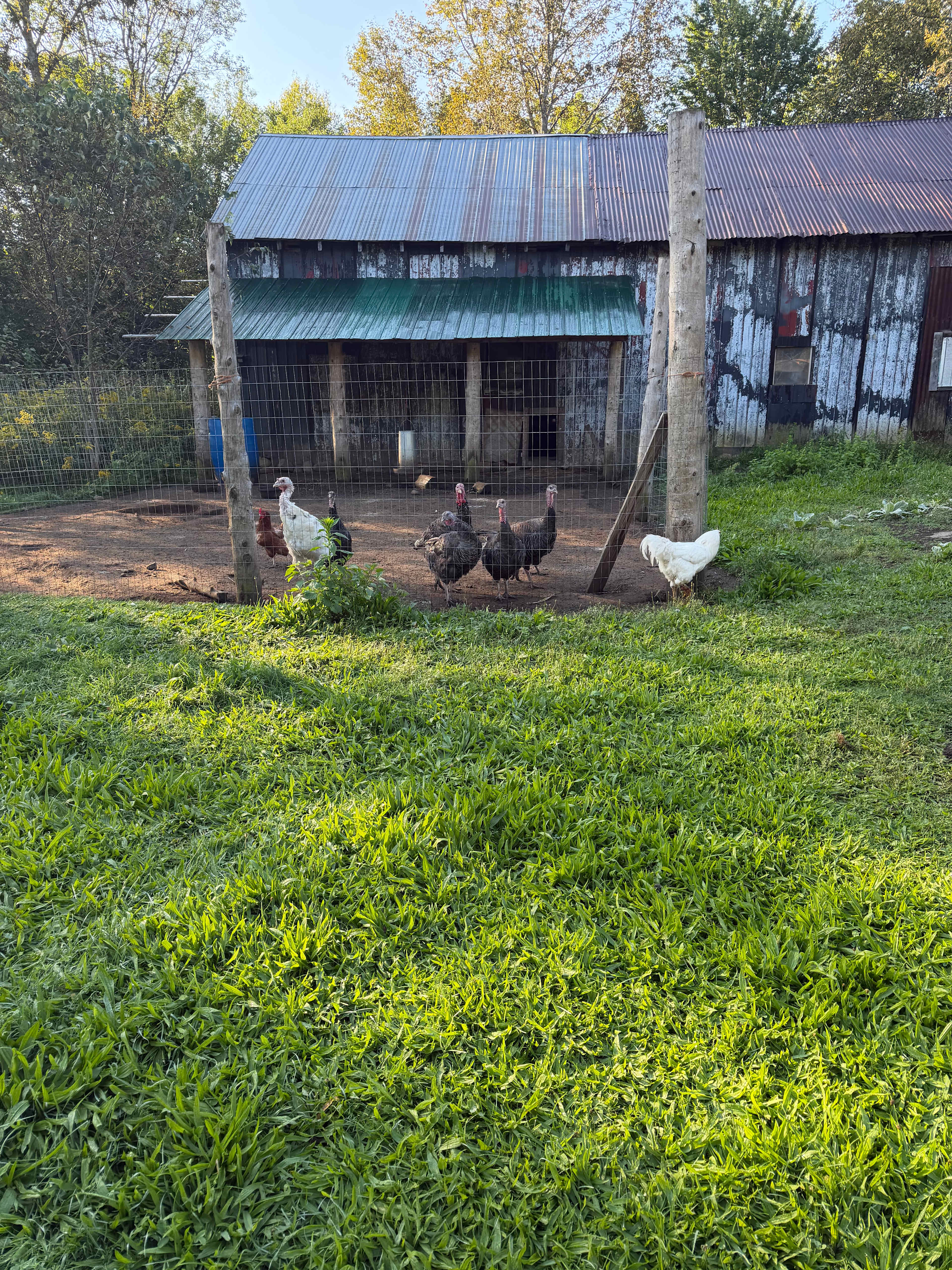 Burke’s Barnyard - Farm Camping