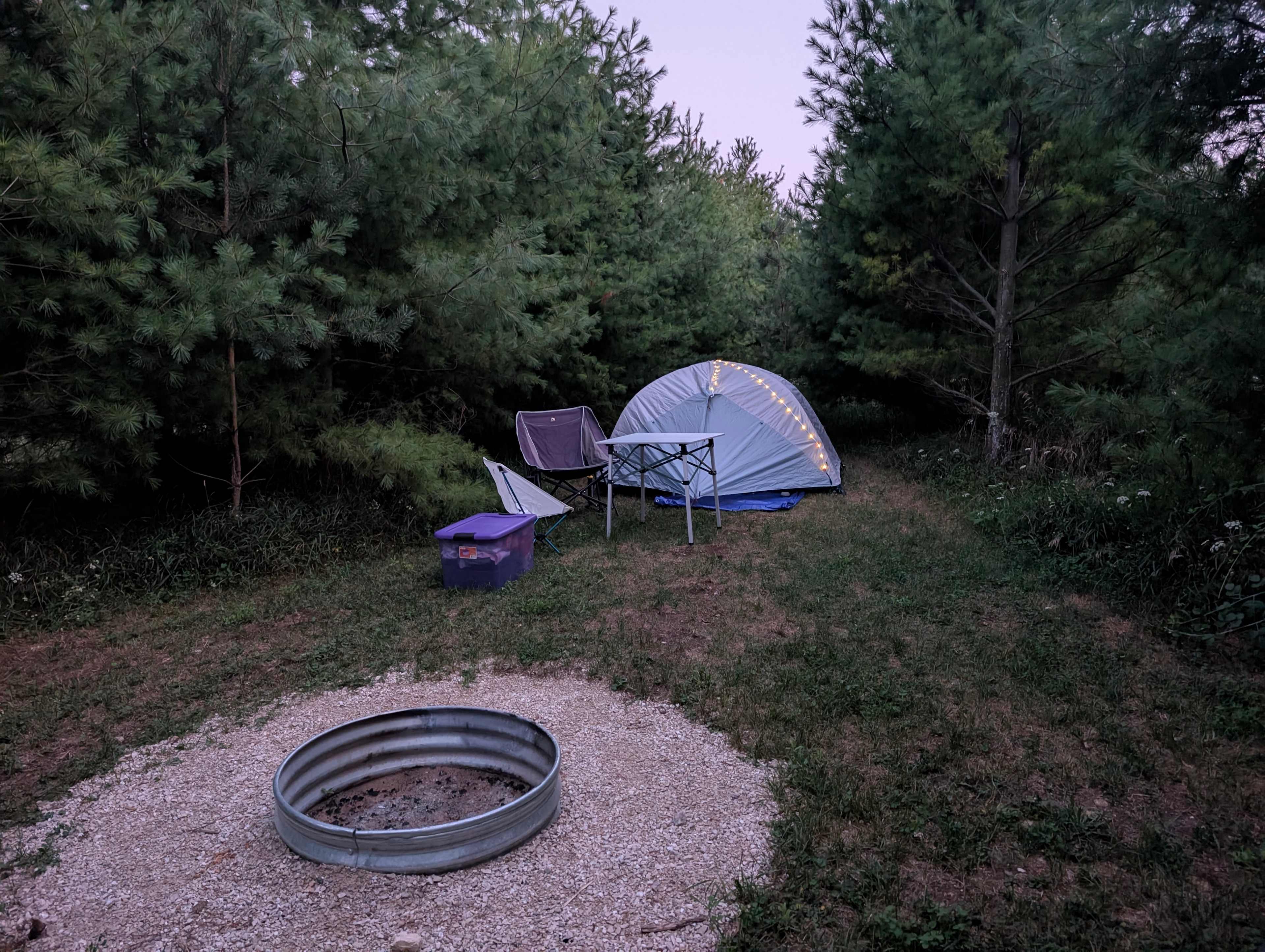 Picture of the site