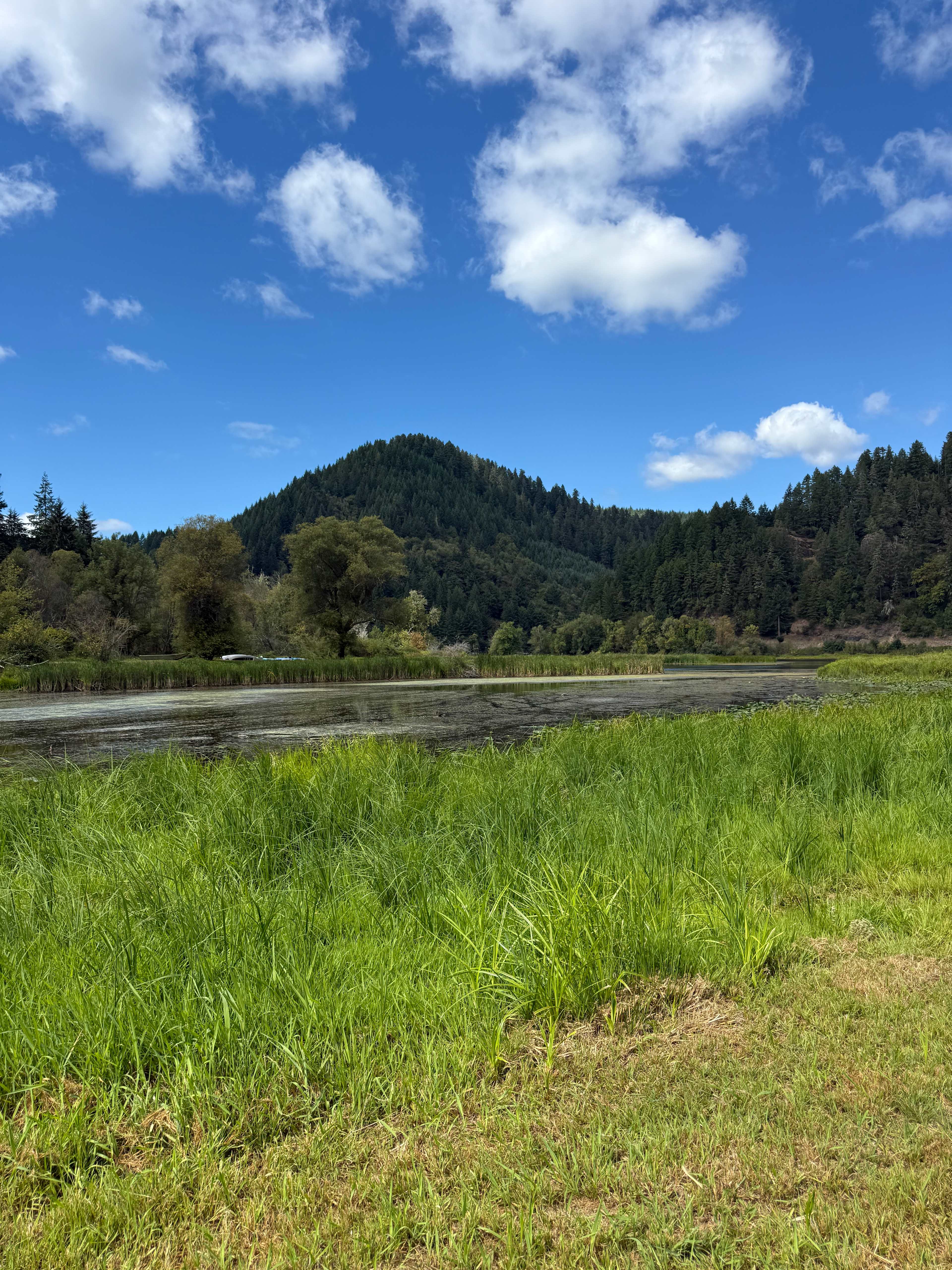 The Park at Loon Lake