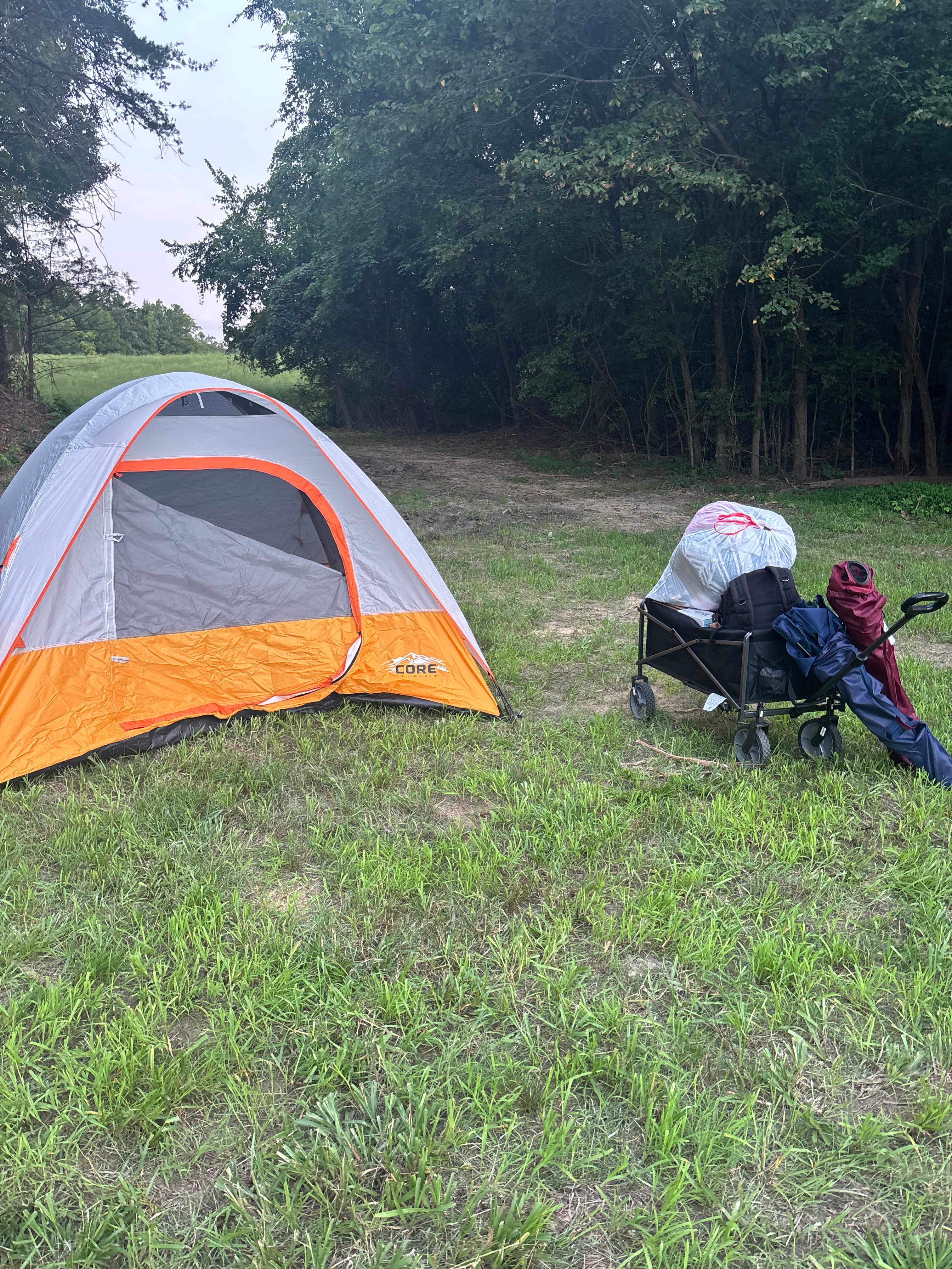 Picture of the site
