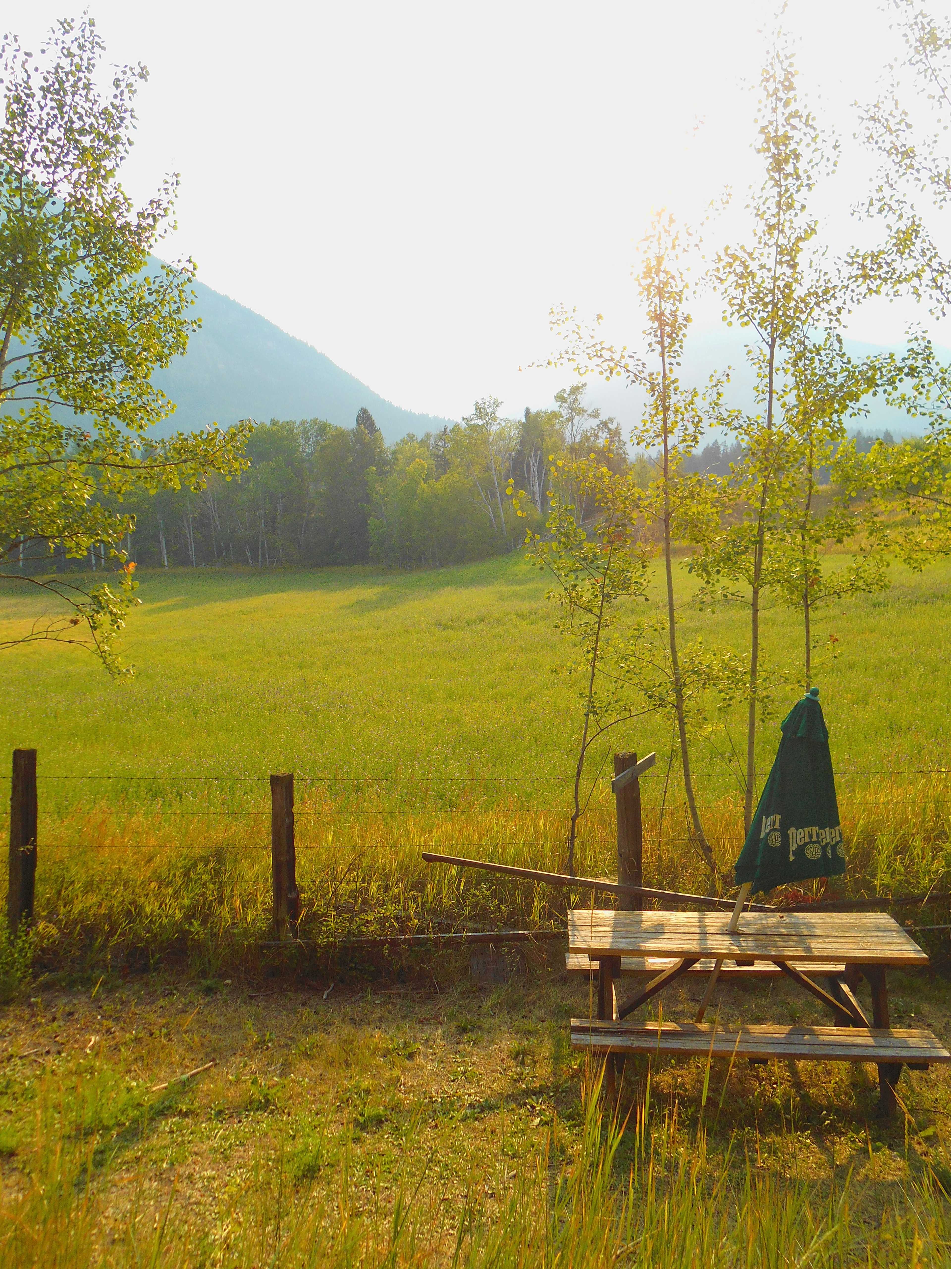 Flyway Farm & Forest