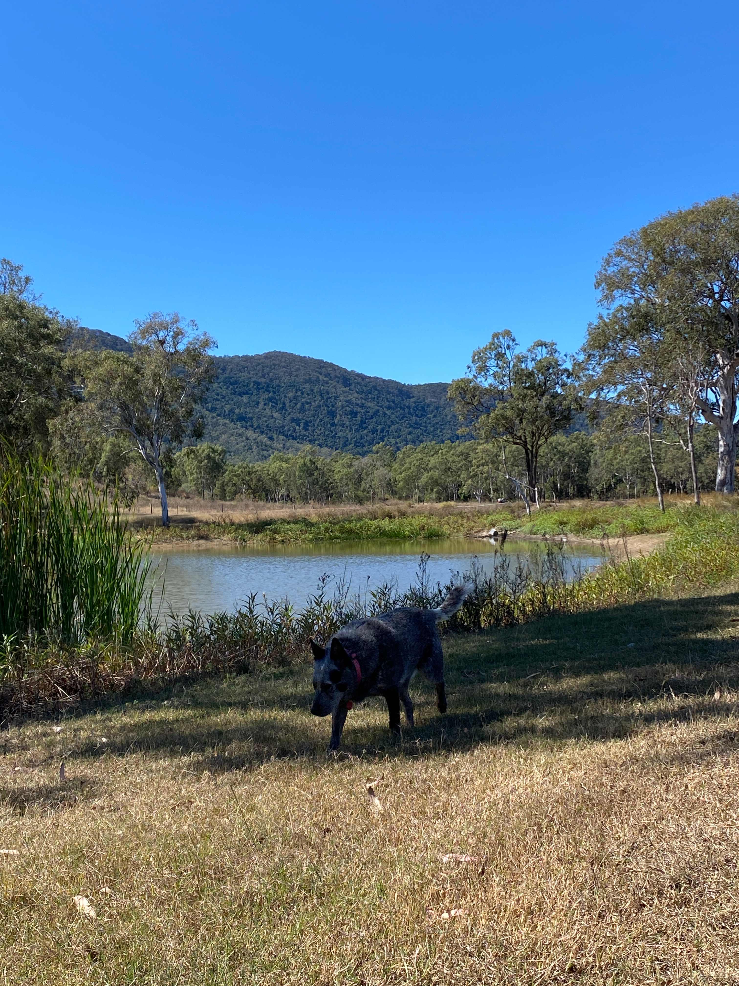 Take-A-Break Bush Camp