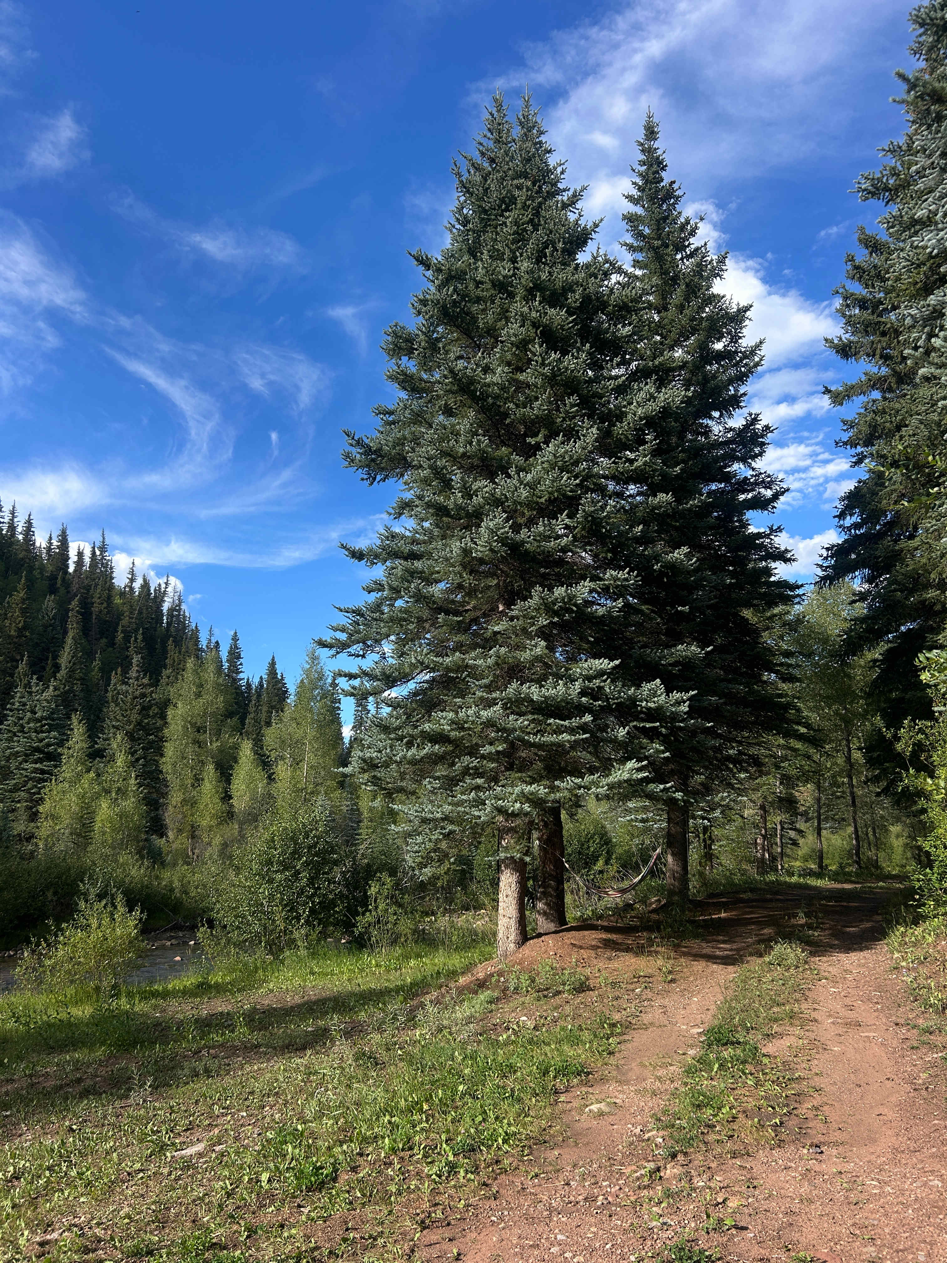 Lazy Rooster Ranch