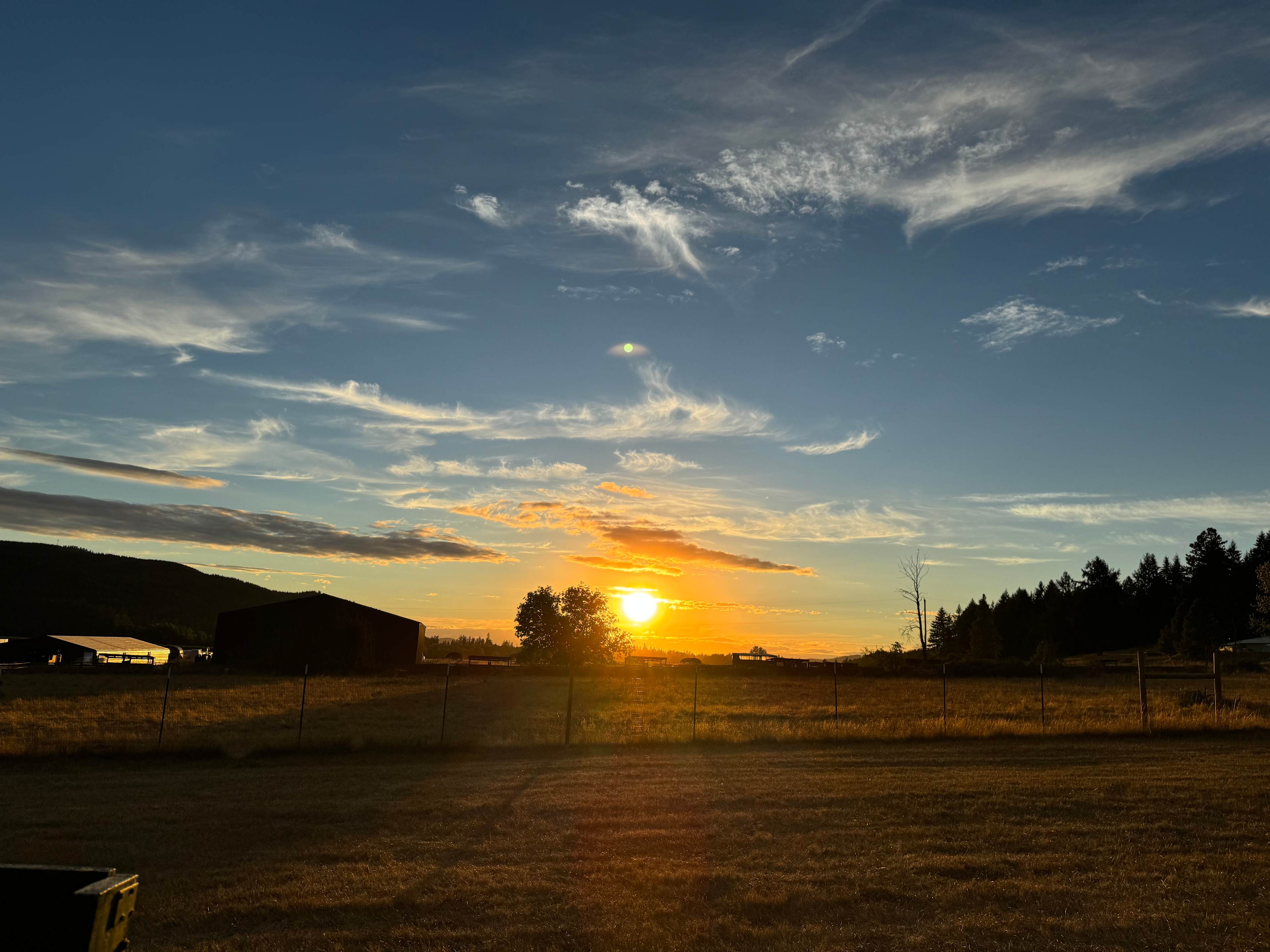 Shearer Farming and Camping