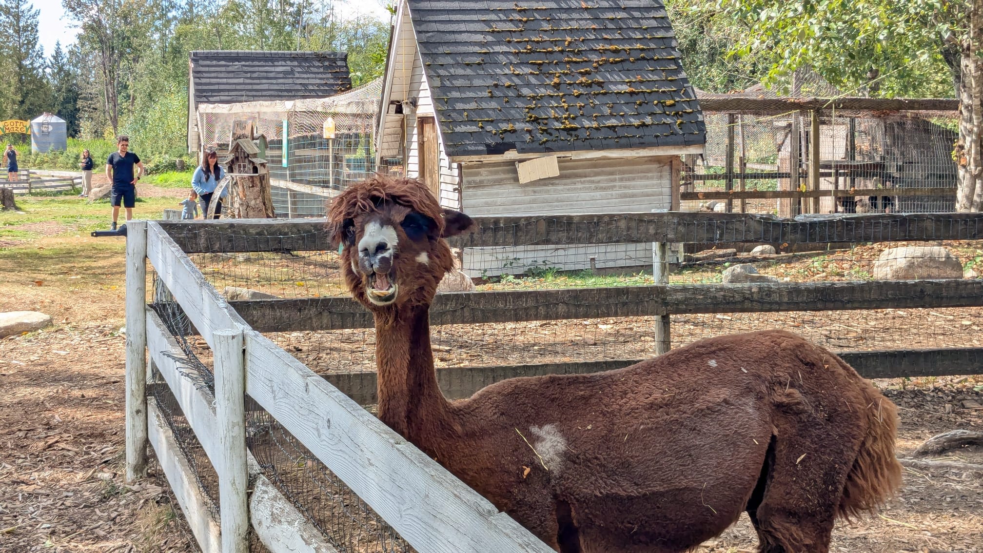 At the farm