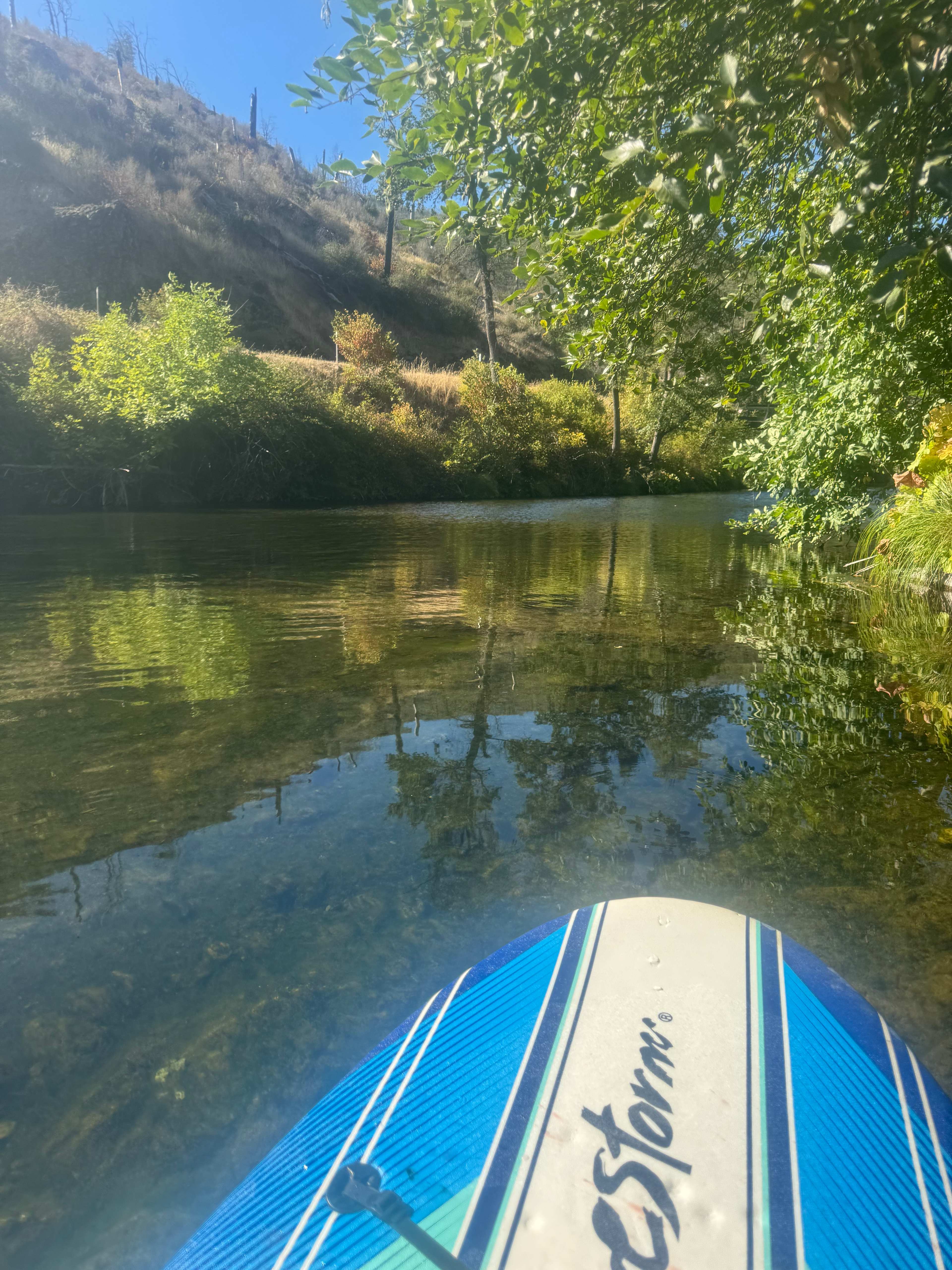 Paddle board on the creek