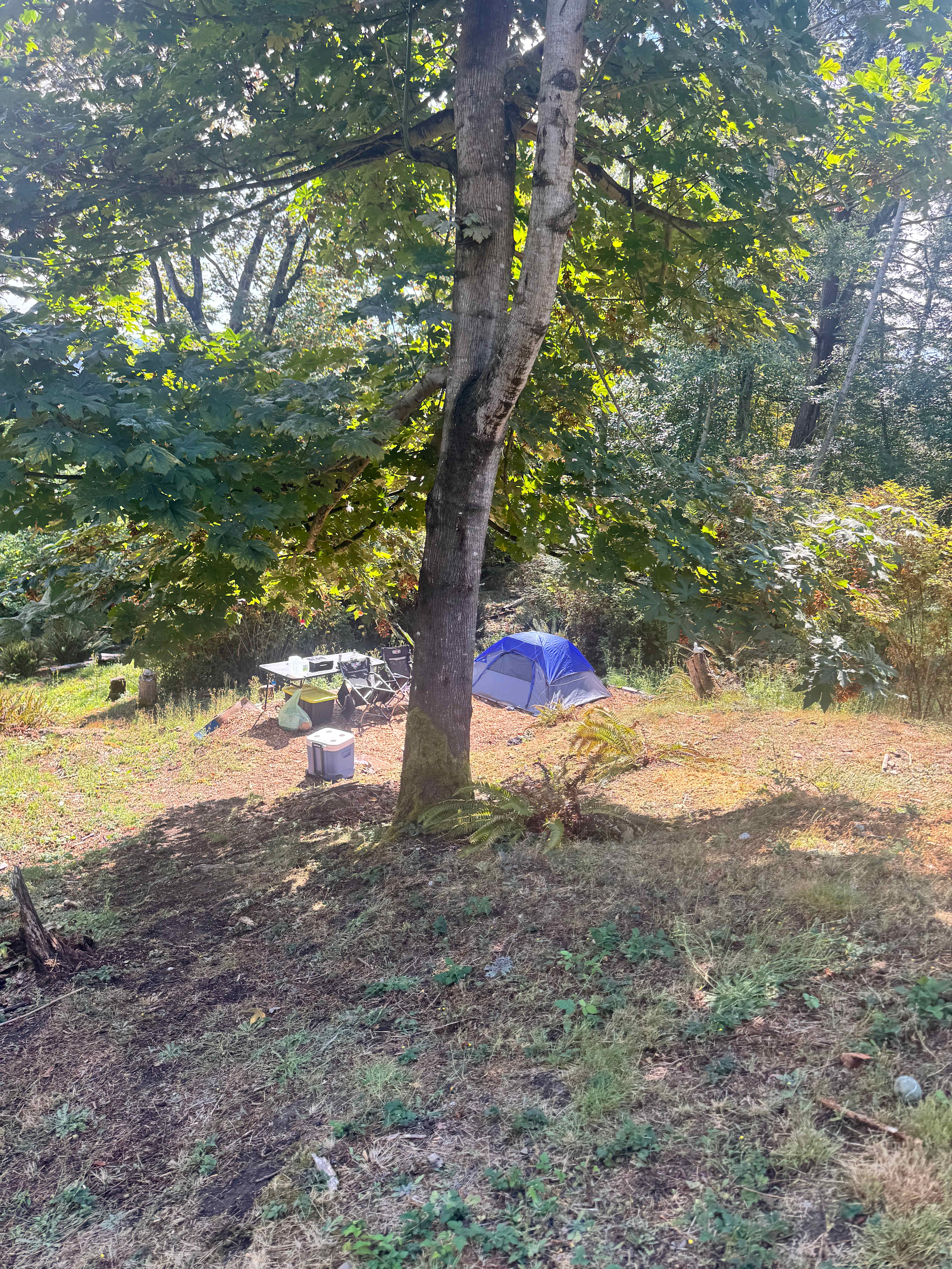 A Taste of Whidbey