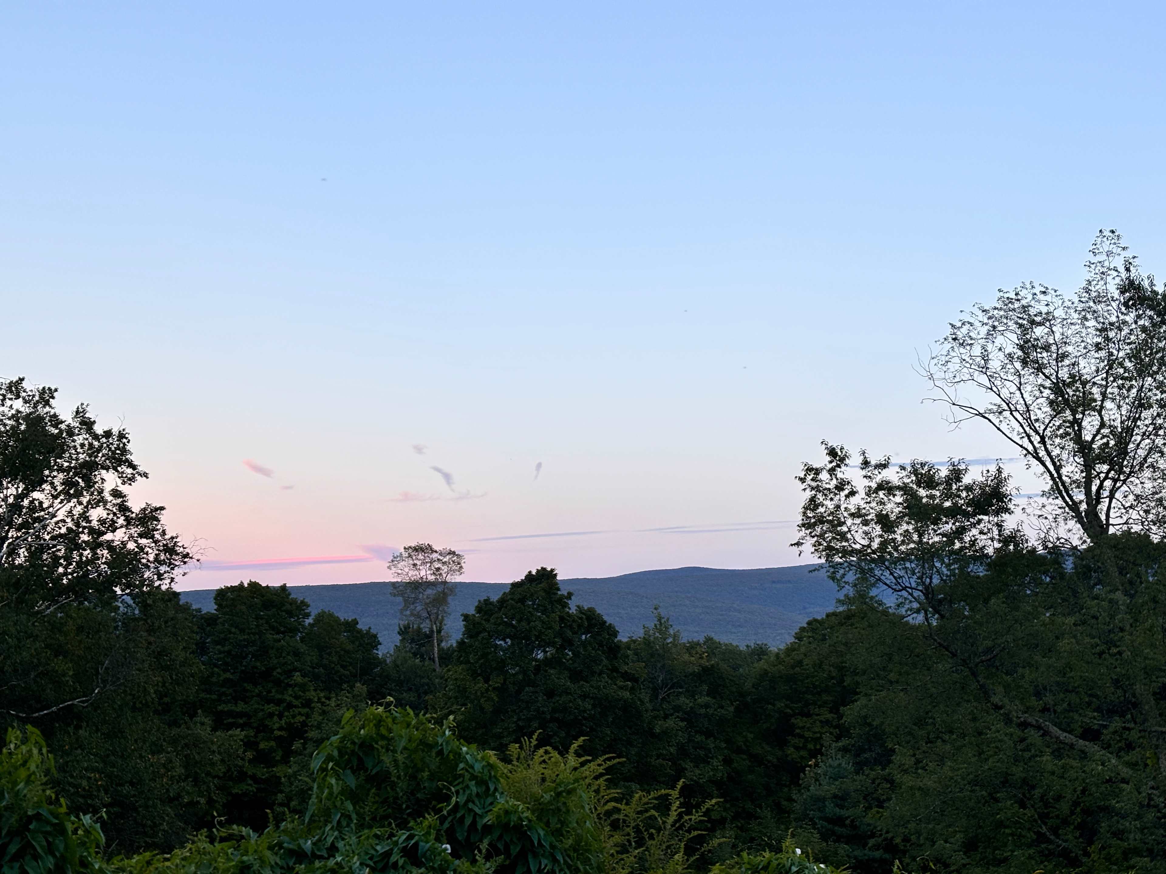 Timbertrail Farm