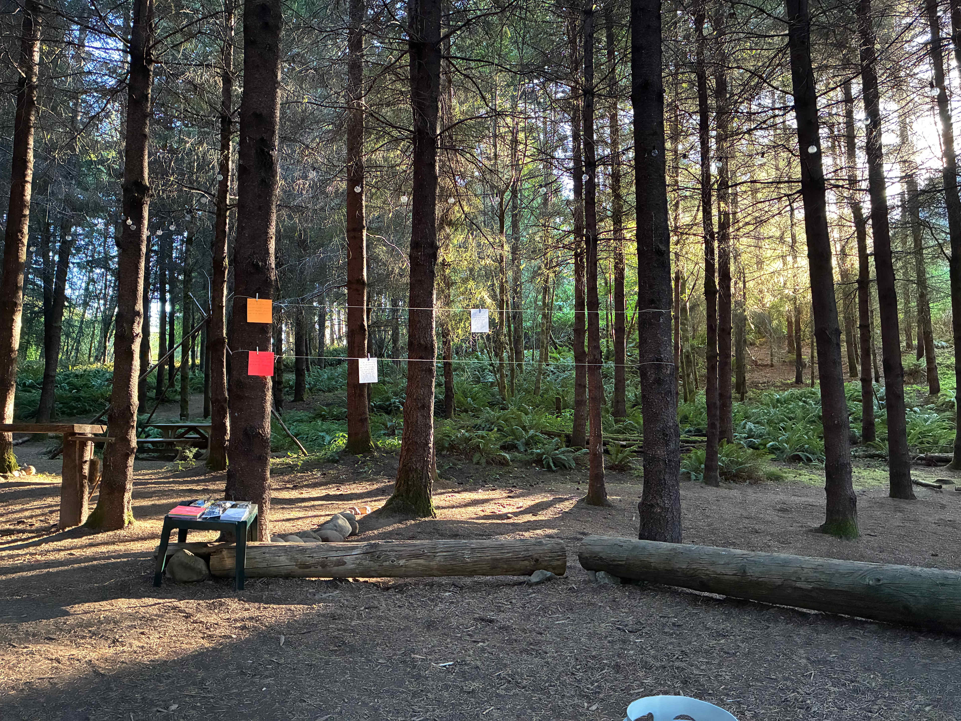 Grey Owl Hollow
