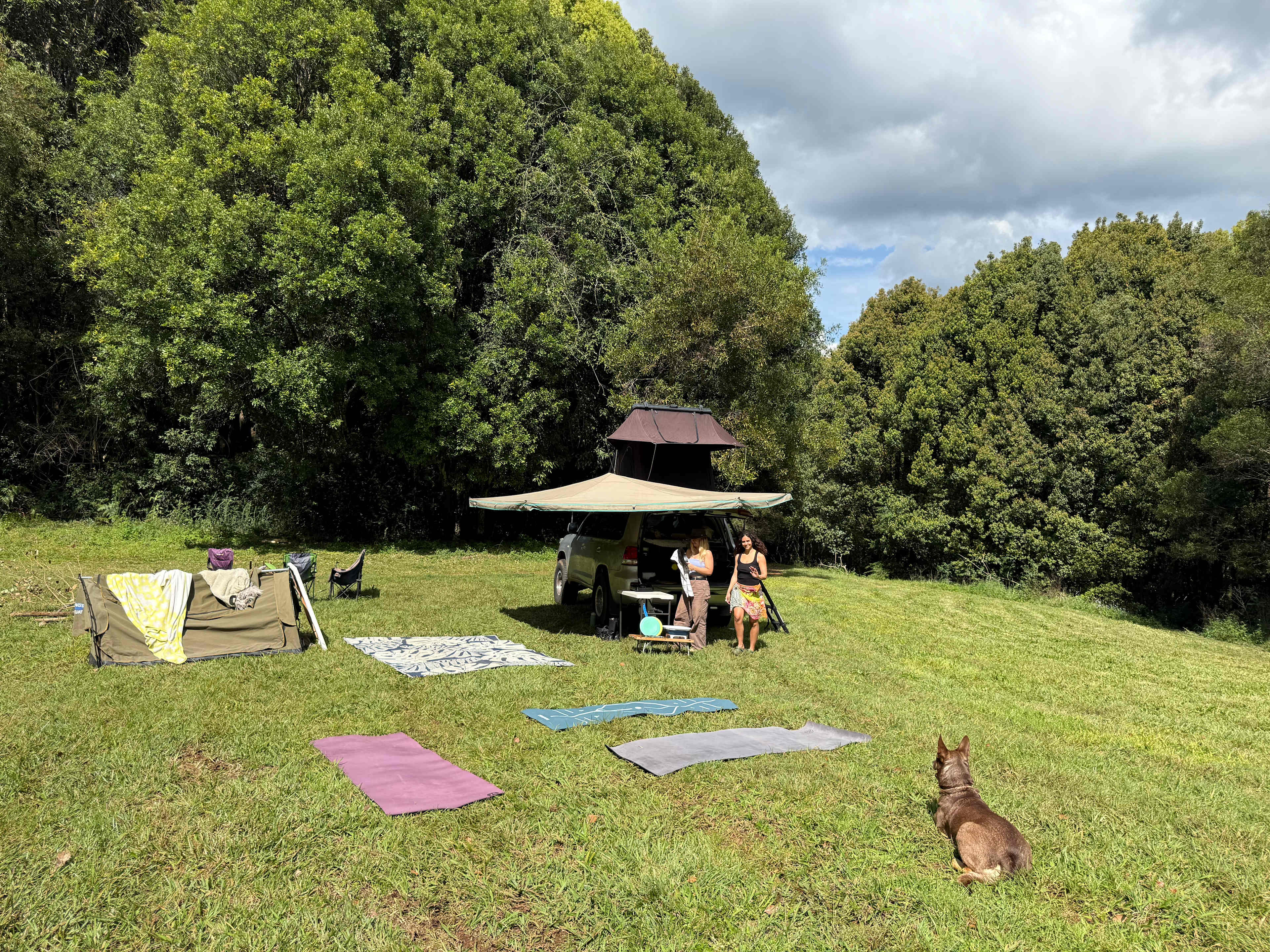 Jessria Shalom Nature Bush Camp