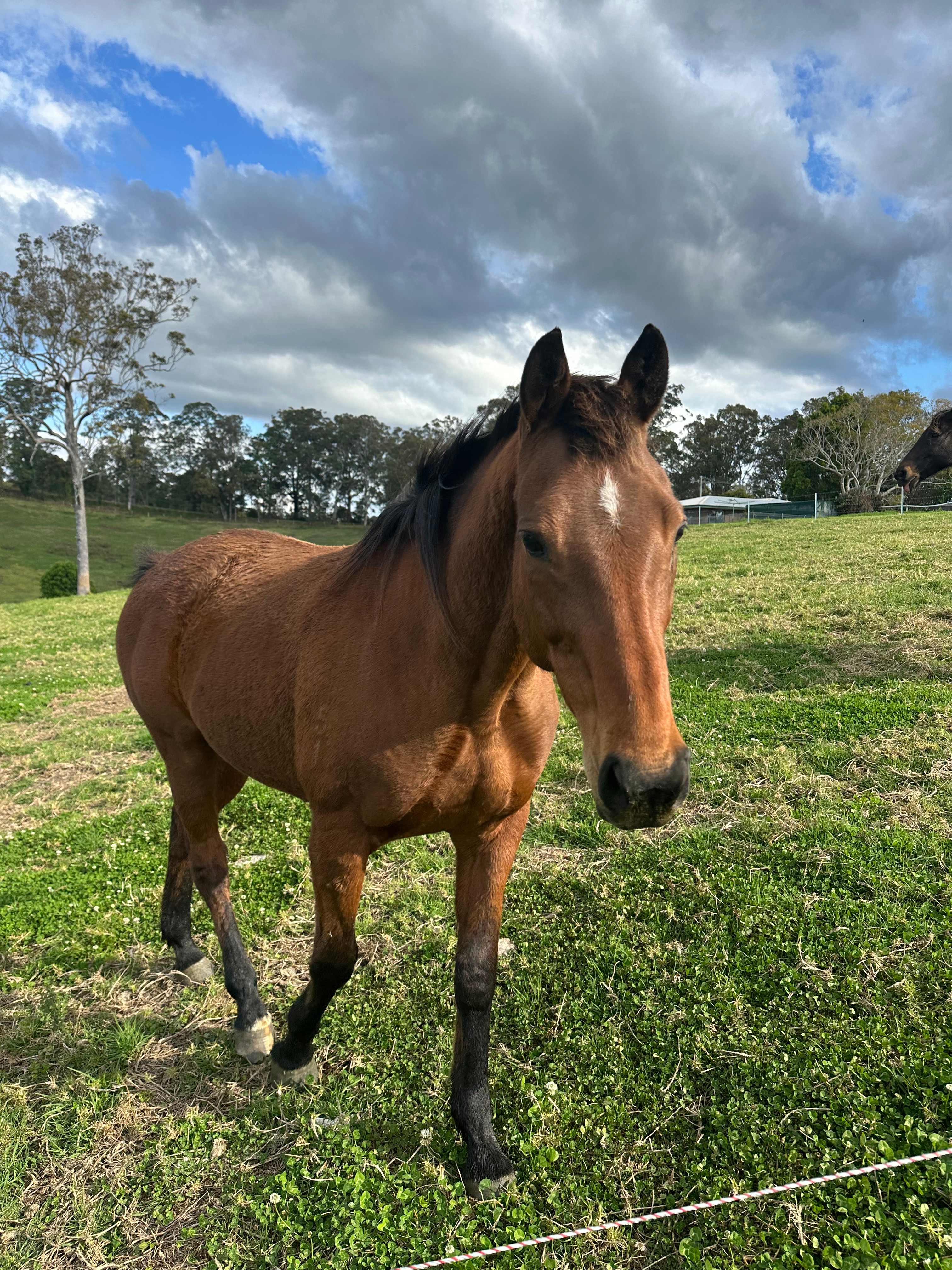 Coorie Vale