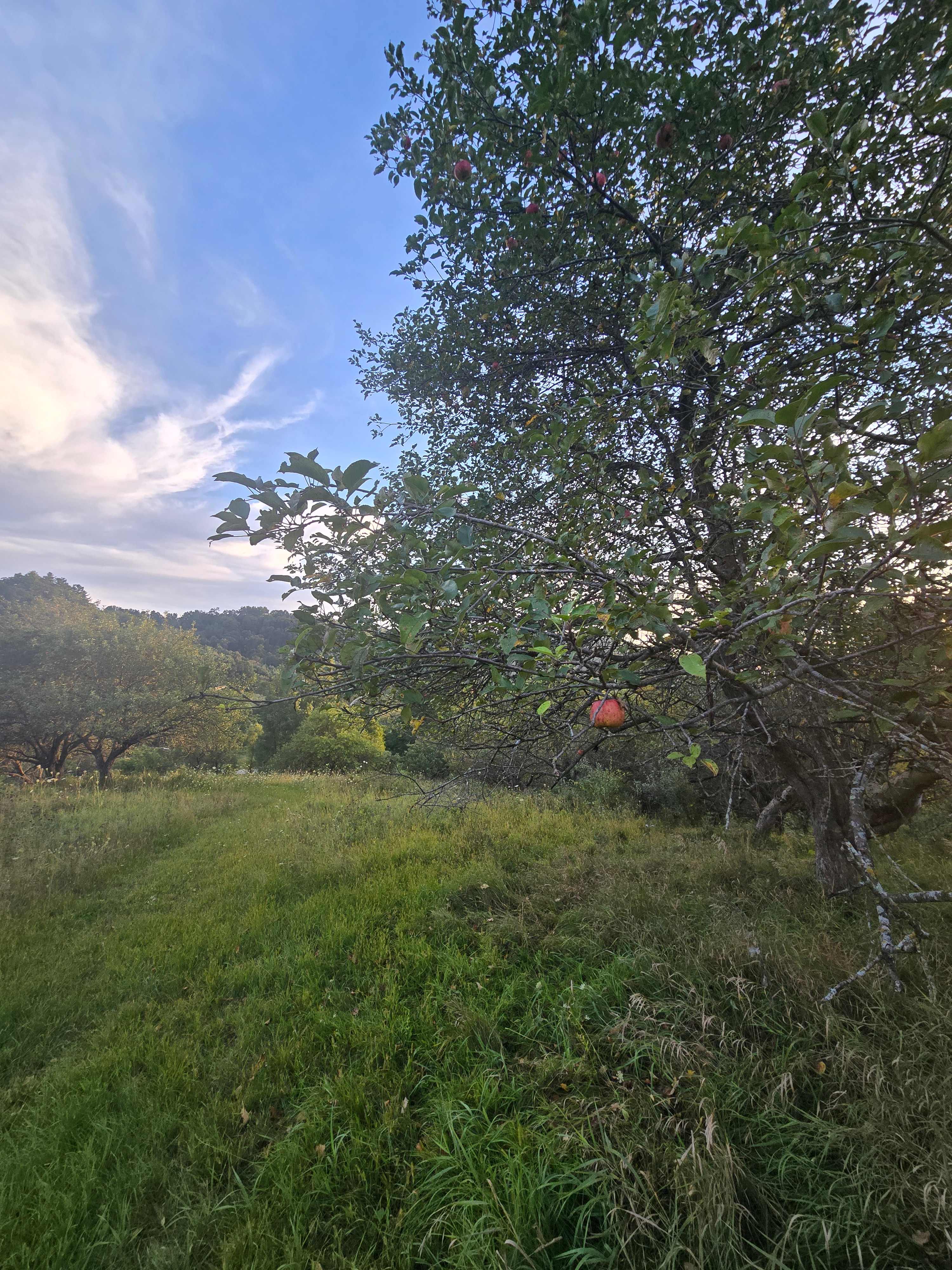 Echo Valley Farm