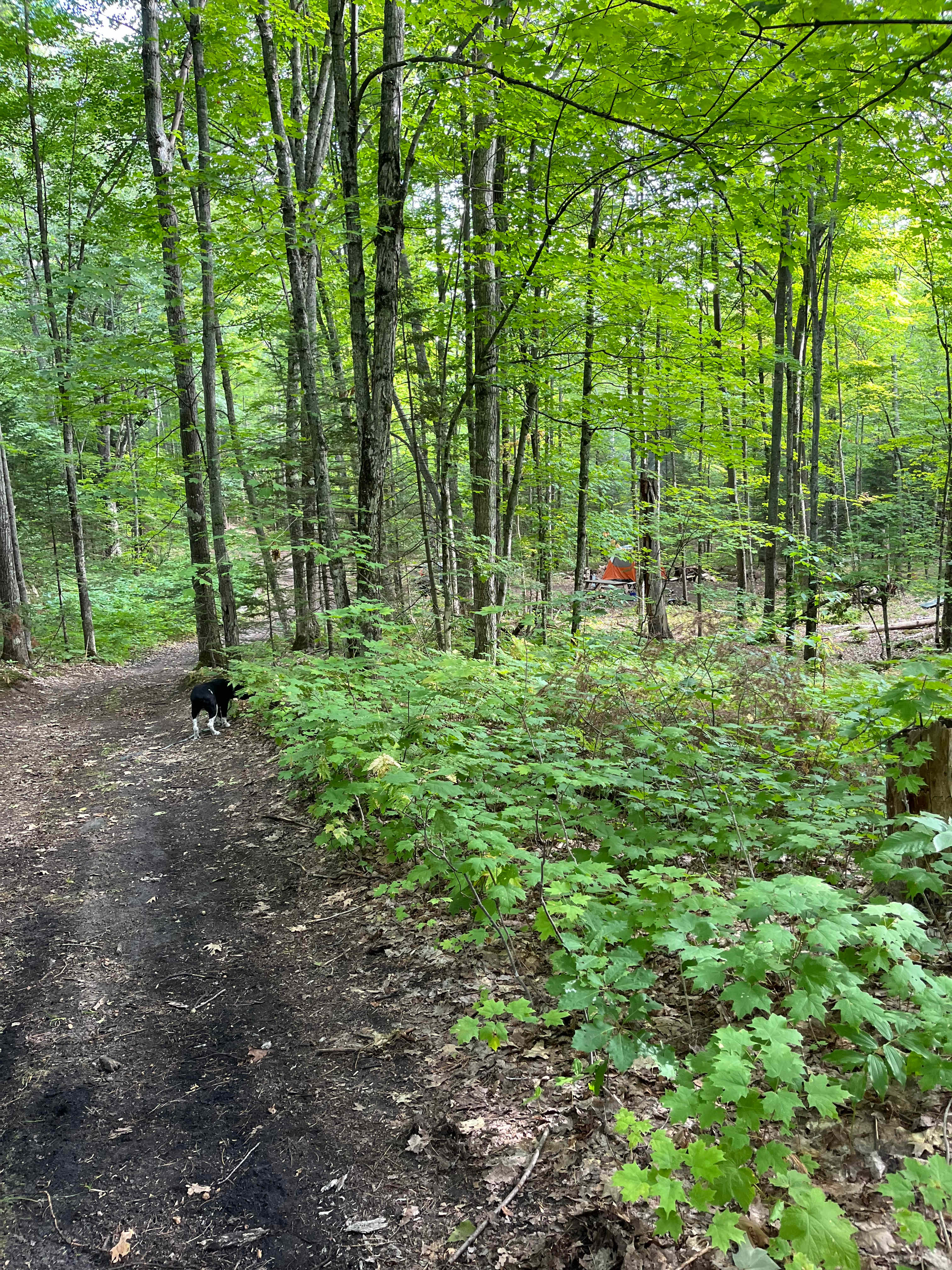 Possum Creek Campground