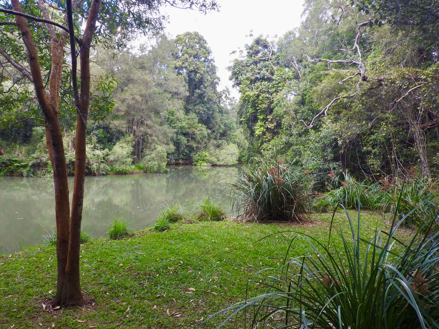 Easy access to Baroon River