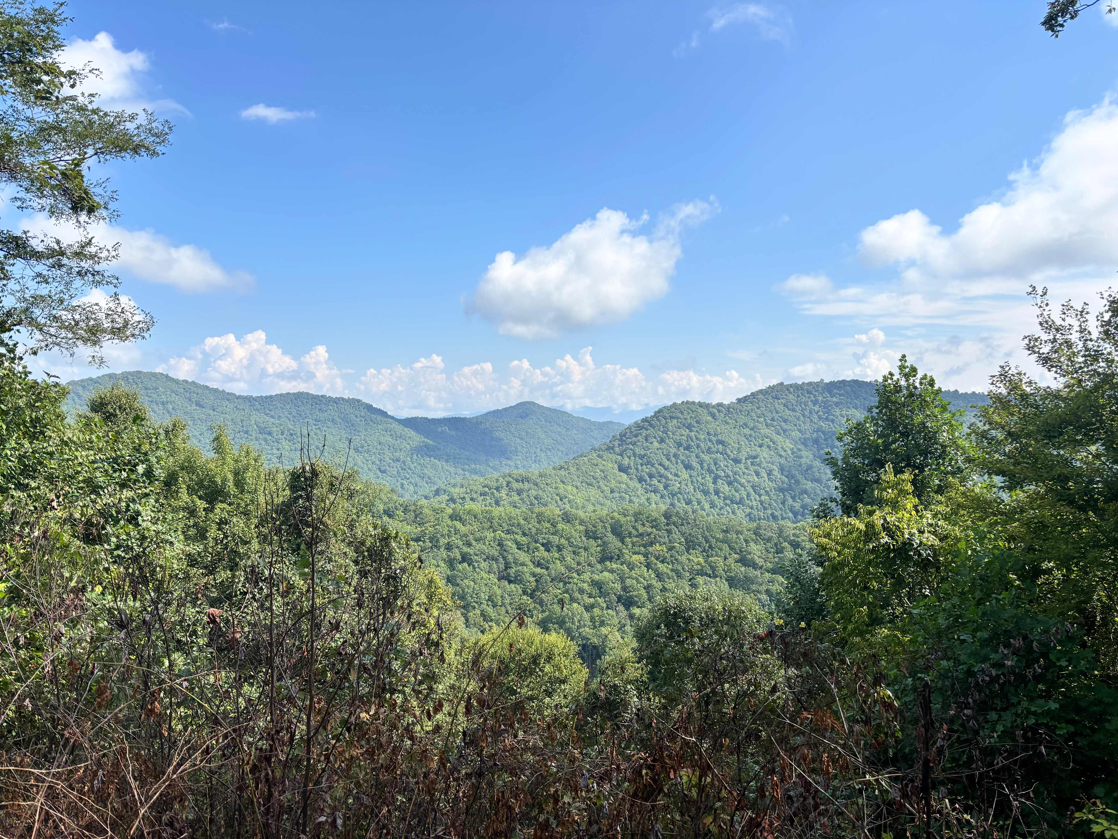 View from Site 9