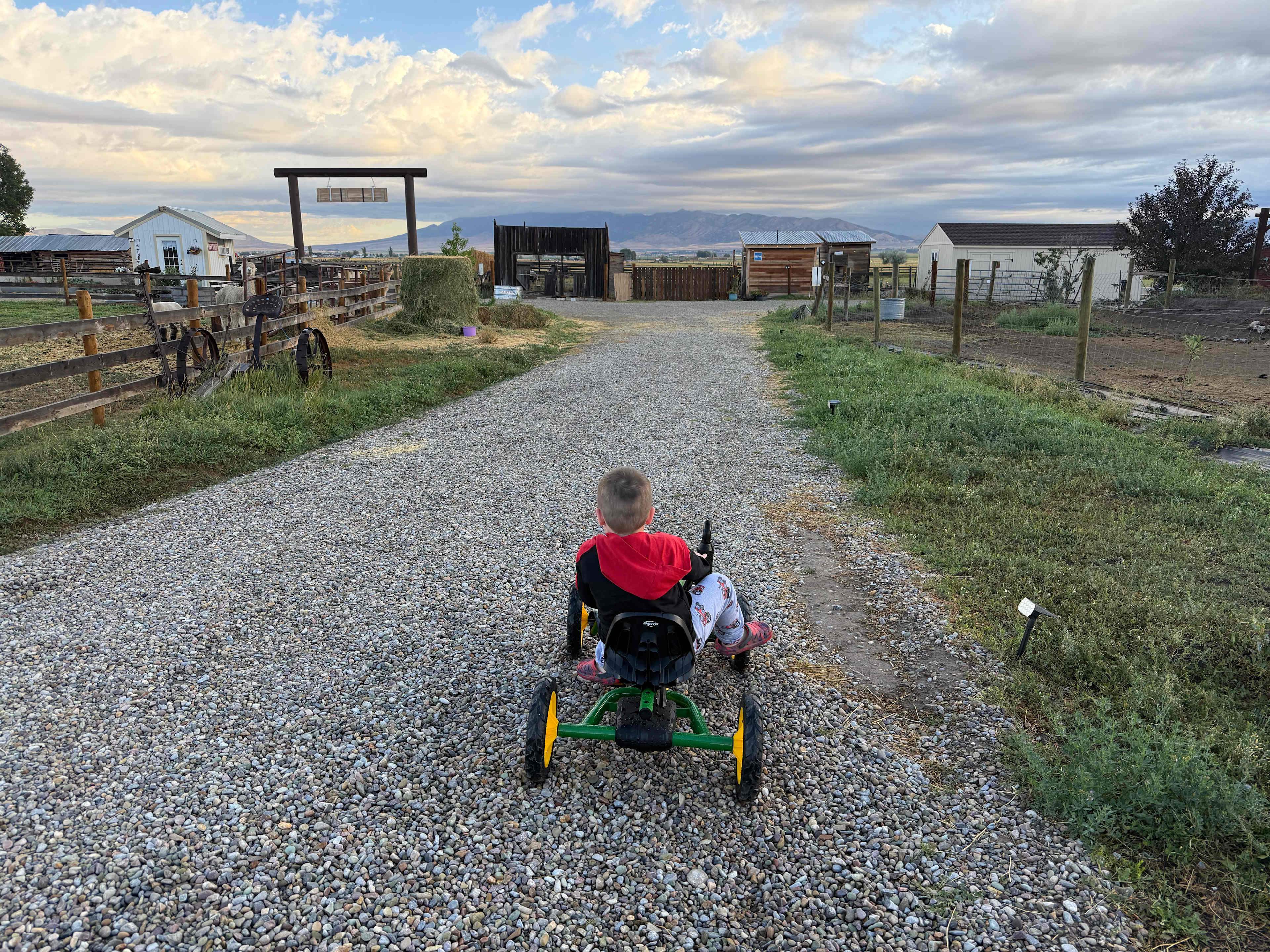 Crazy Cow Farm Adventure