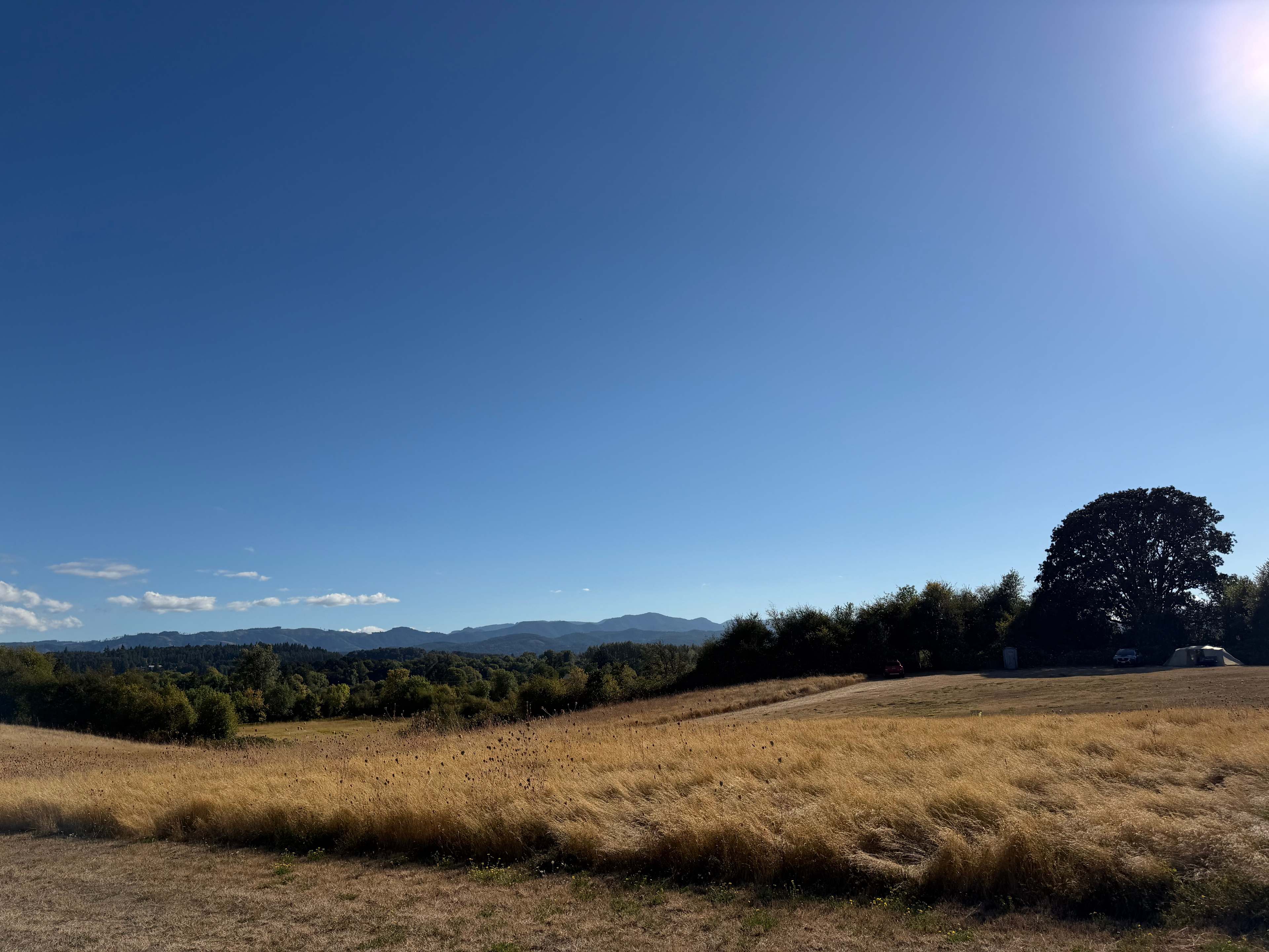Roshambo ArtFarm