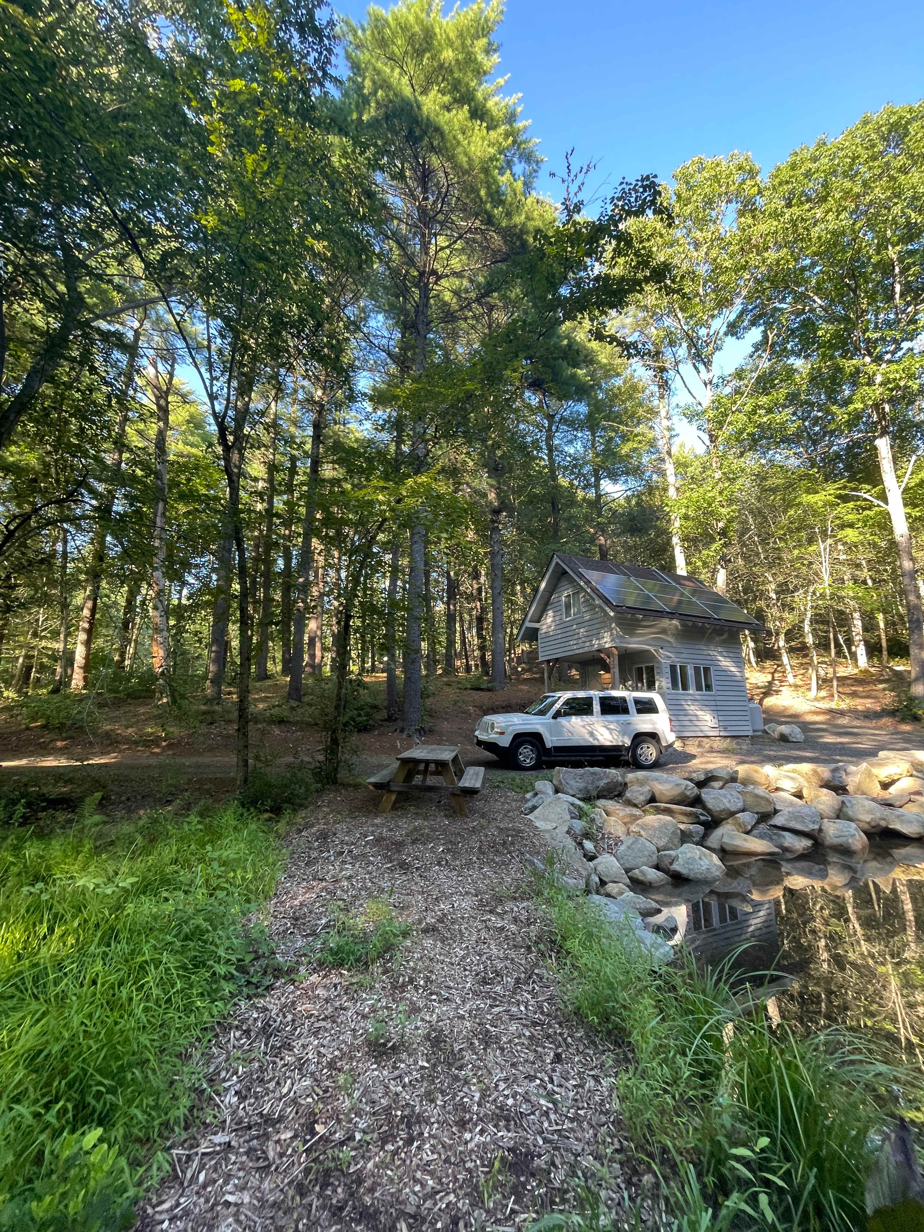 Picture of the site