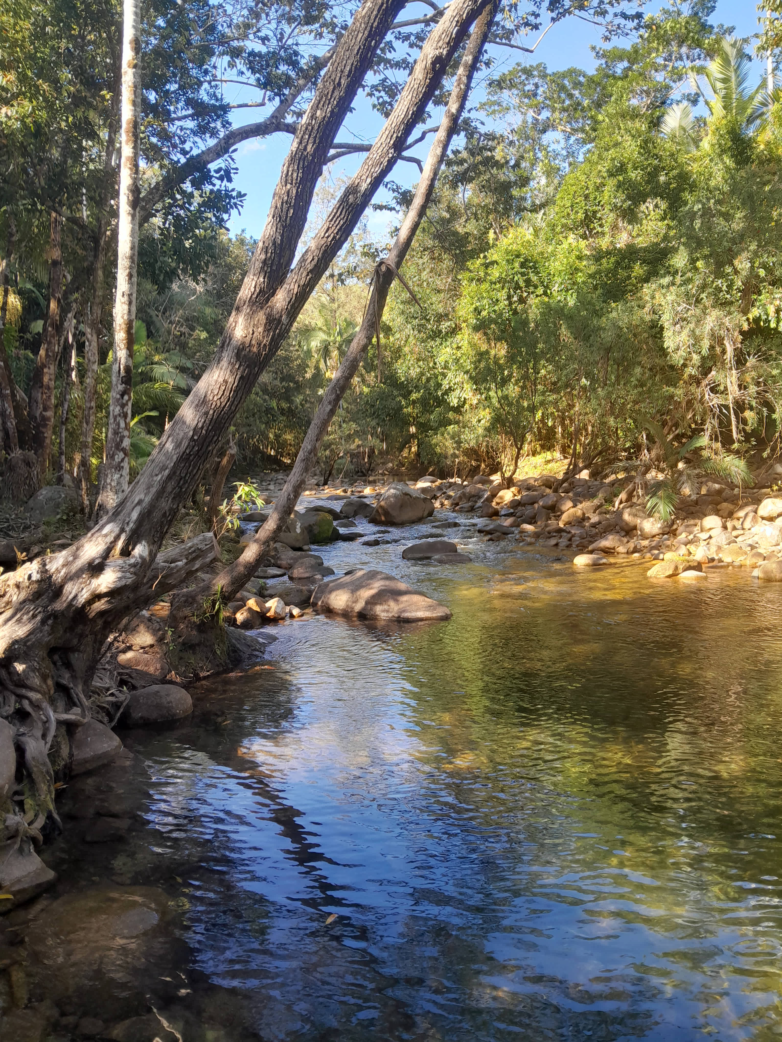 Platypus Bush Camp
