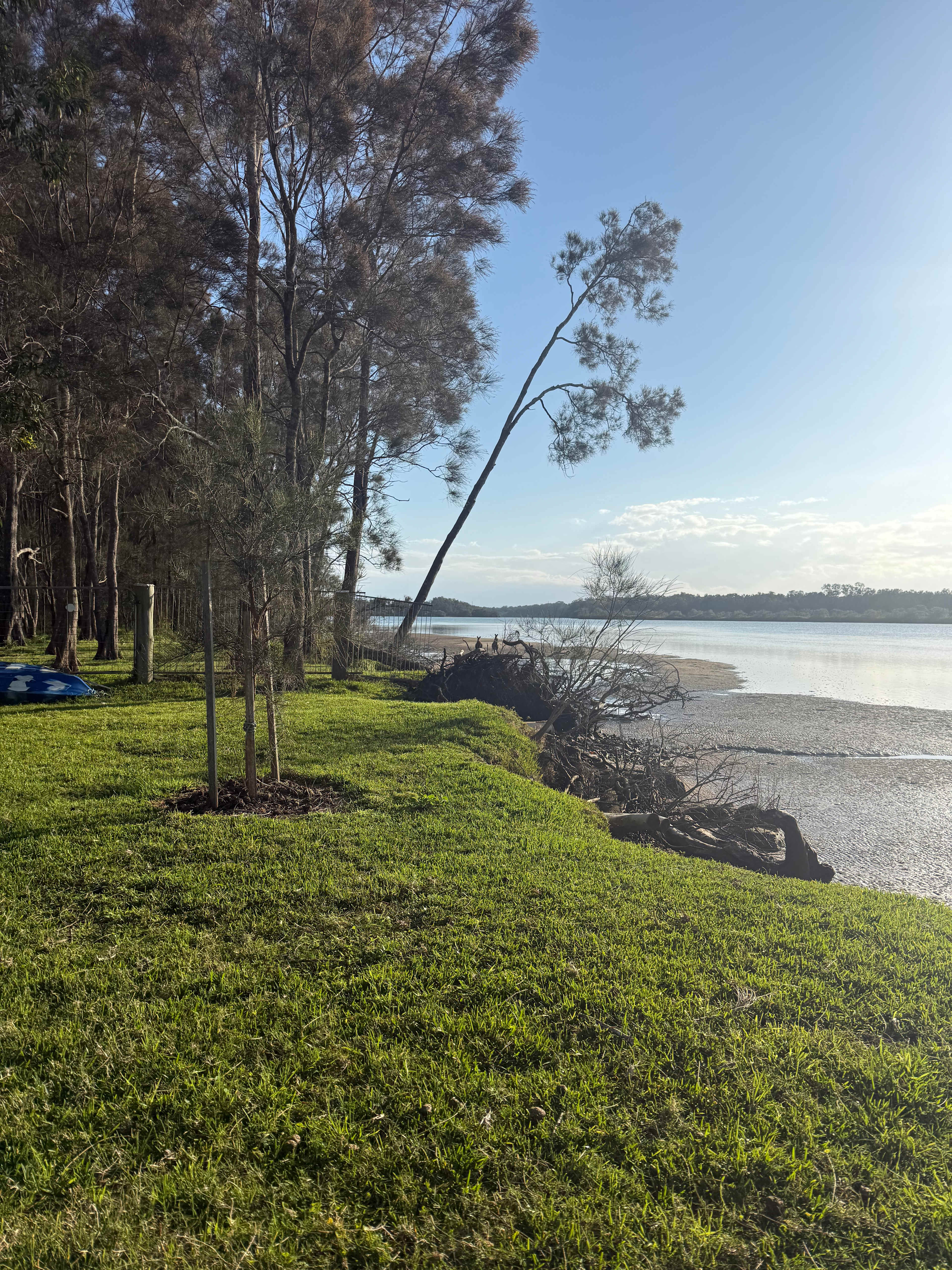 Near and Far Yamba