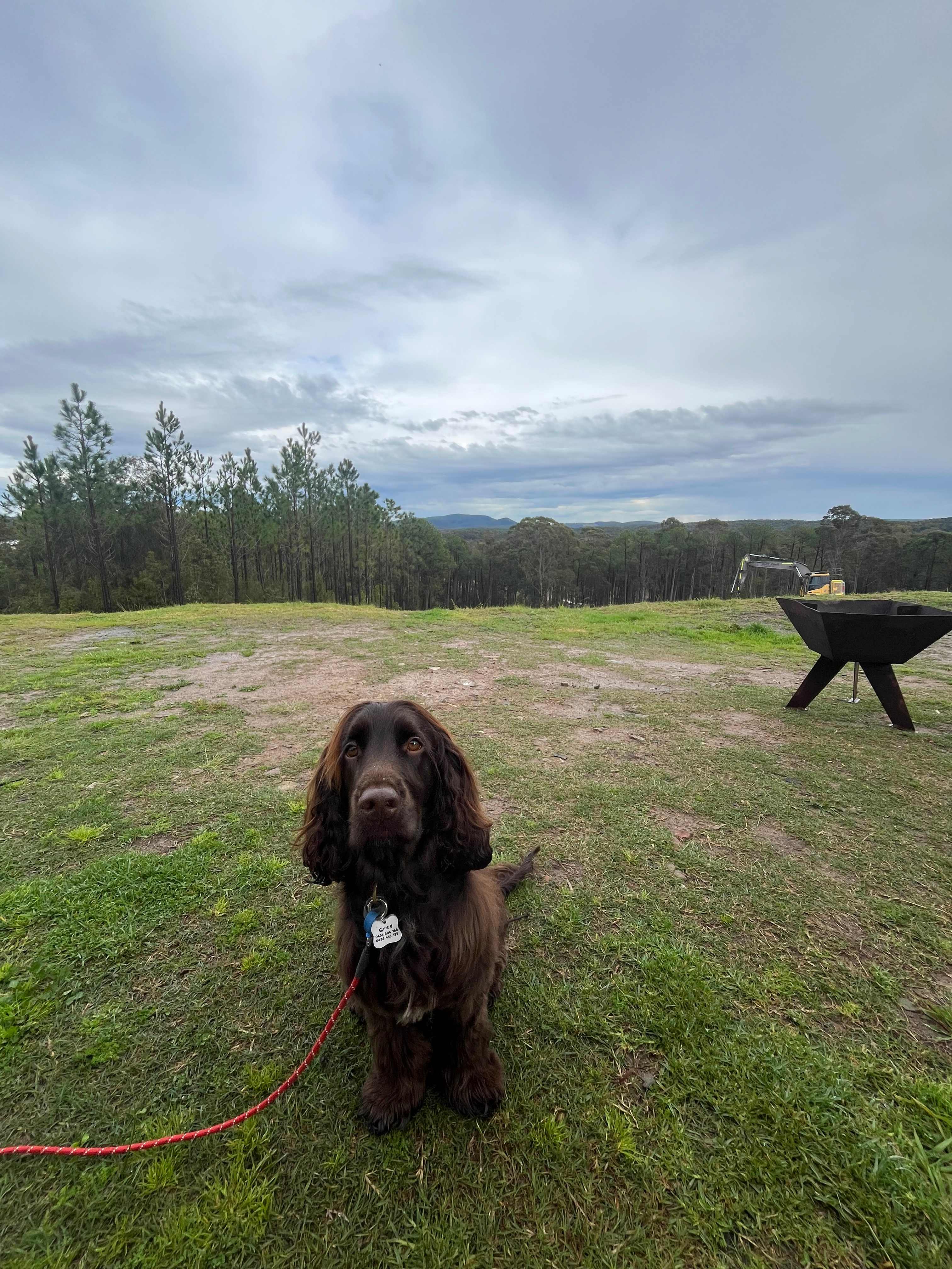 Fame Mountain Camp - pets welcome