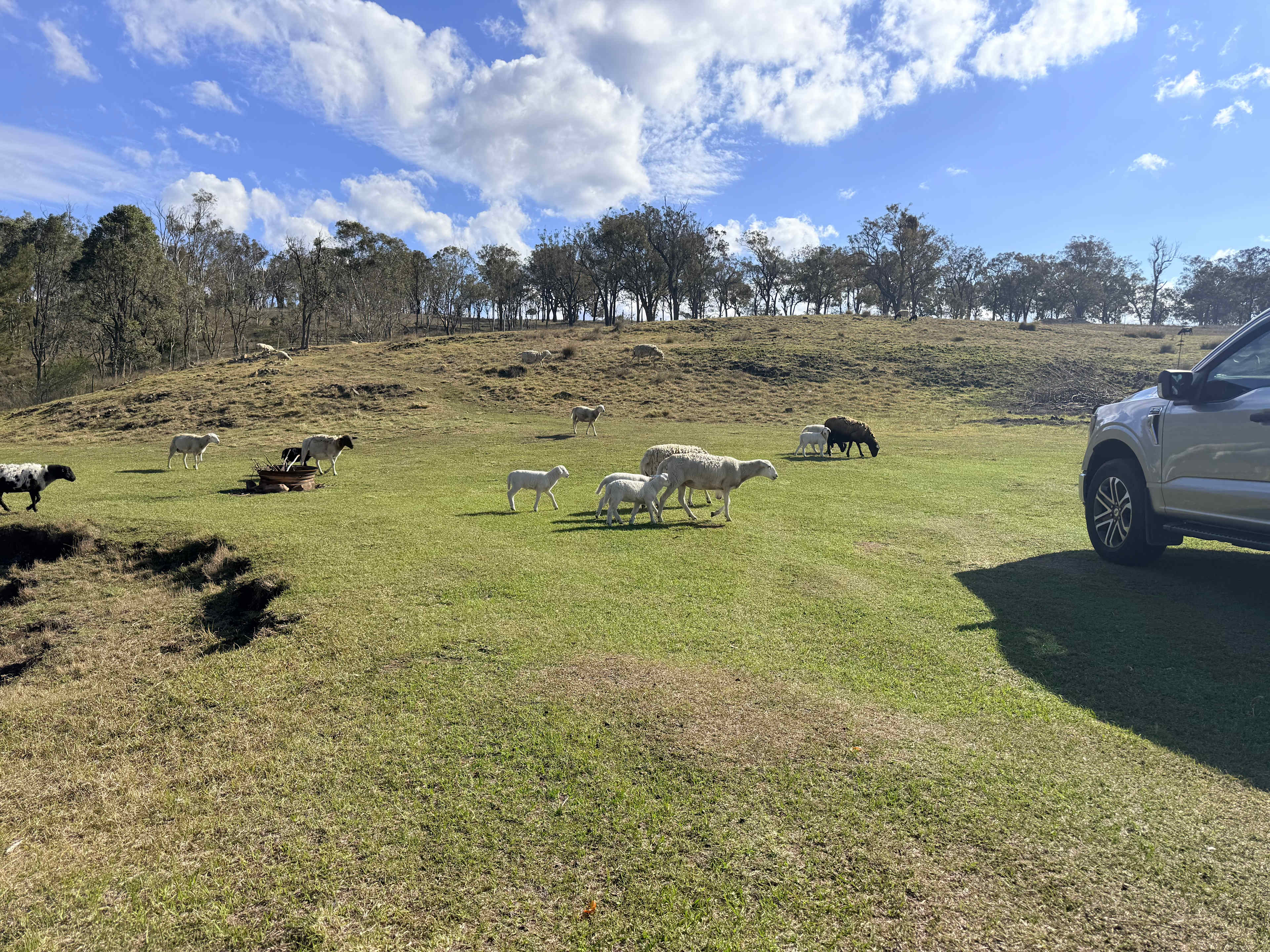 Berrima Camping & Farmstay