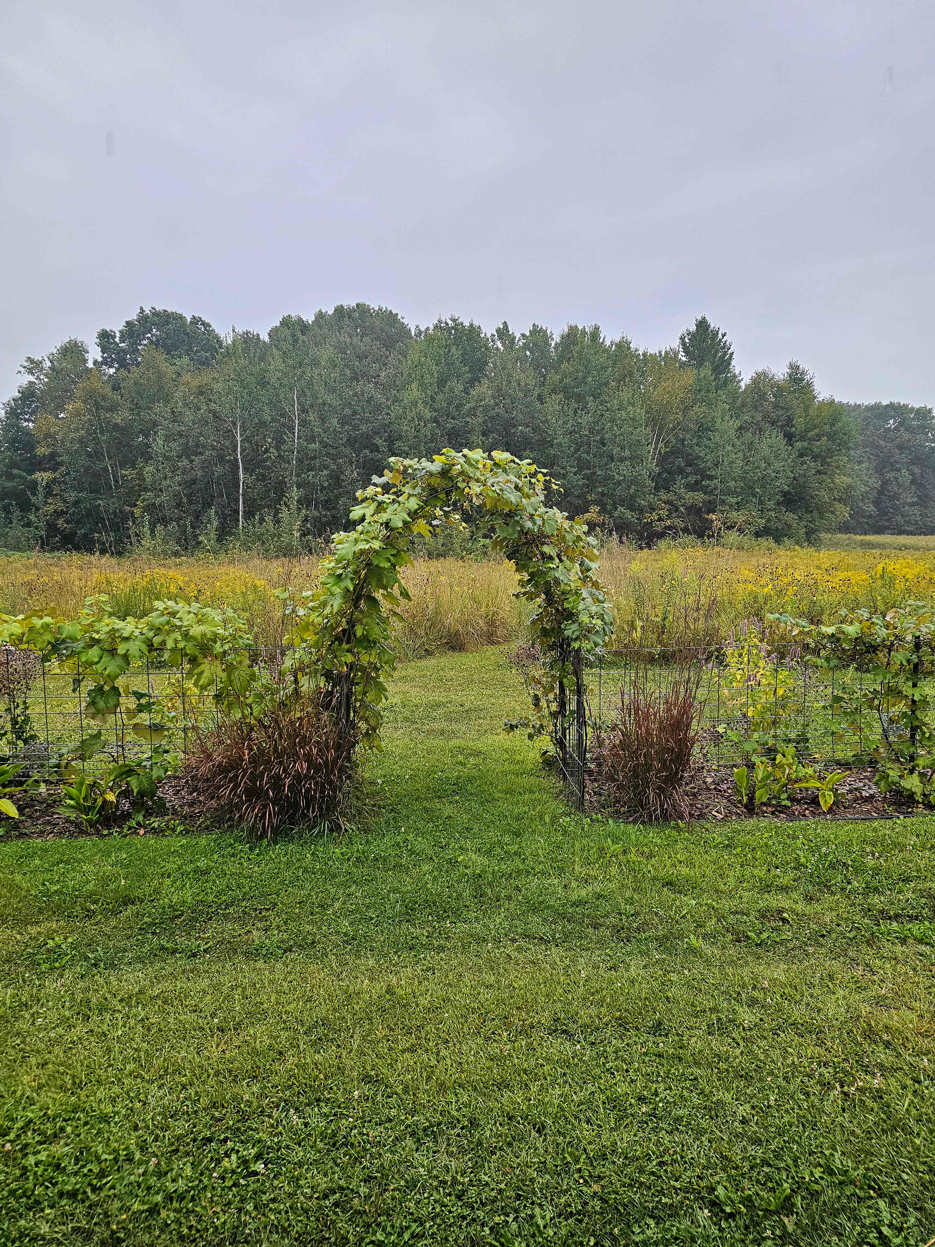 Good Root Growers